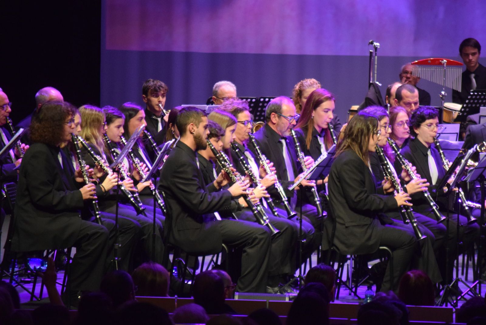 concierto-de-santa-cecilia-en-el-ramos-carrion-13