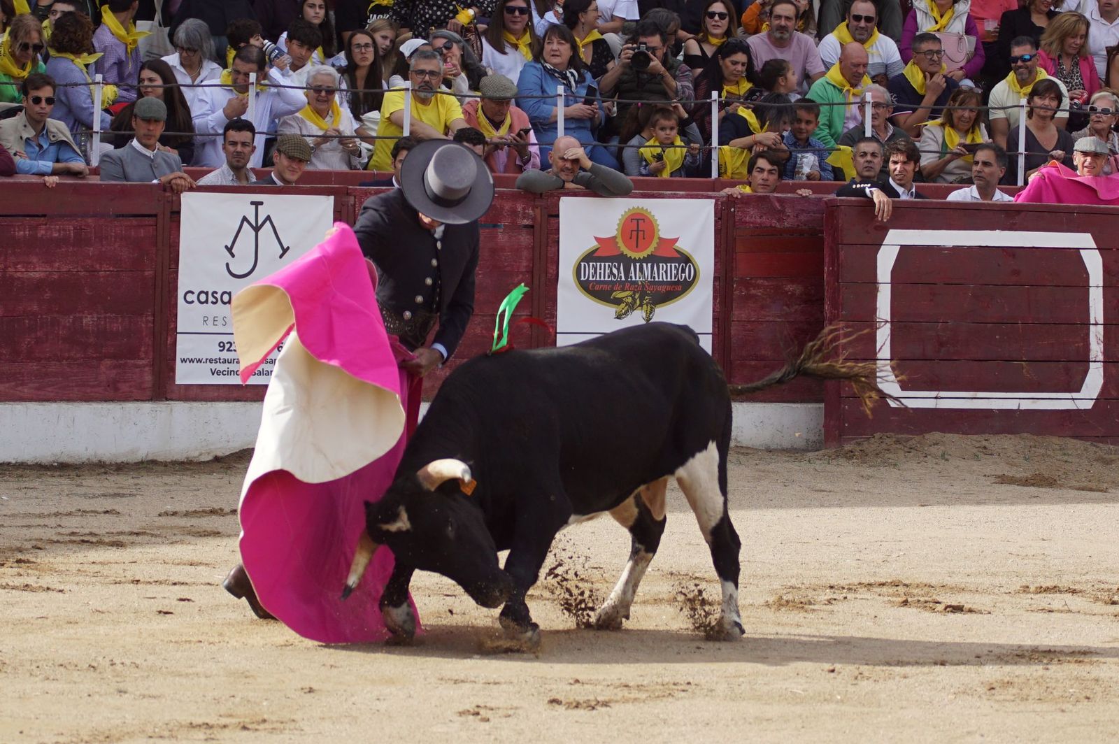 whatsapp-image-2024-10-05-at-19-57-47-1