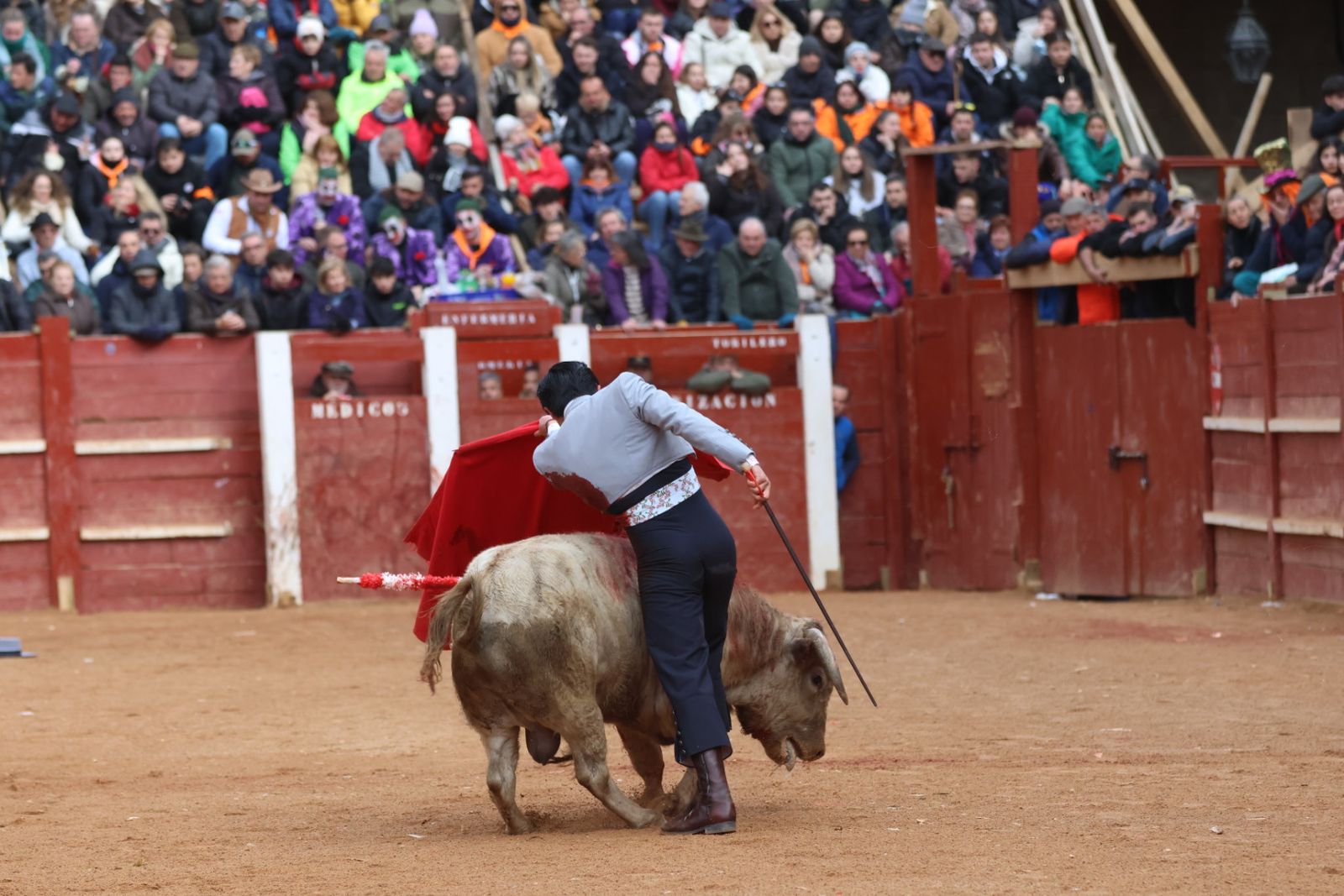 Novillada sin picadores del bolsín taurino y rejones en Ciudad Rodrigo
