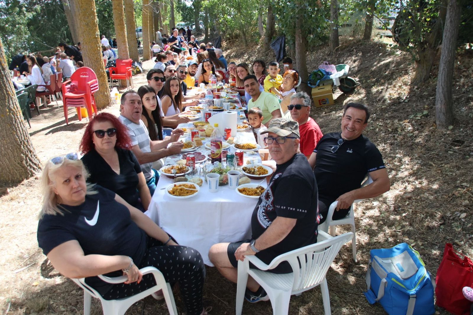 Paella en Villagonzalo