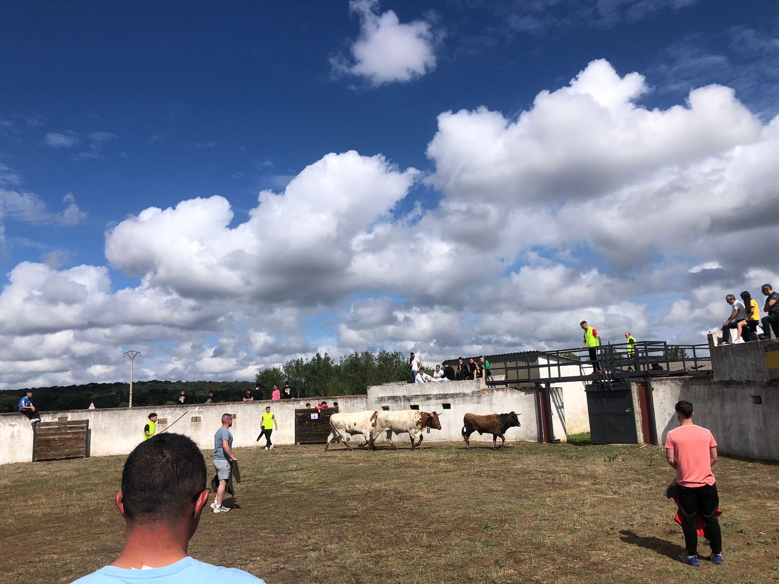 encierro-a-caballo-en-sancti-spiritus-5