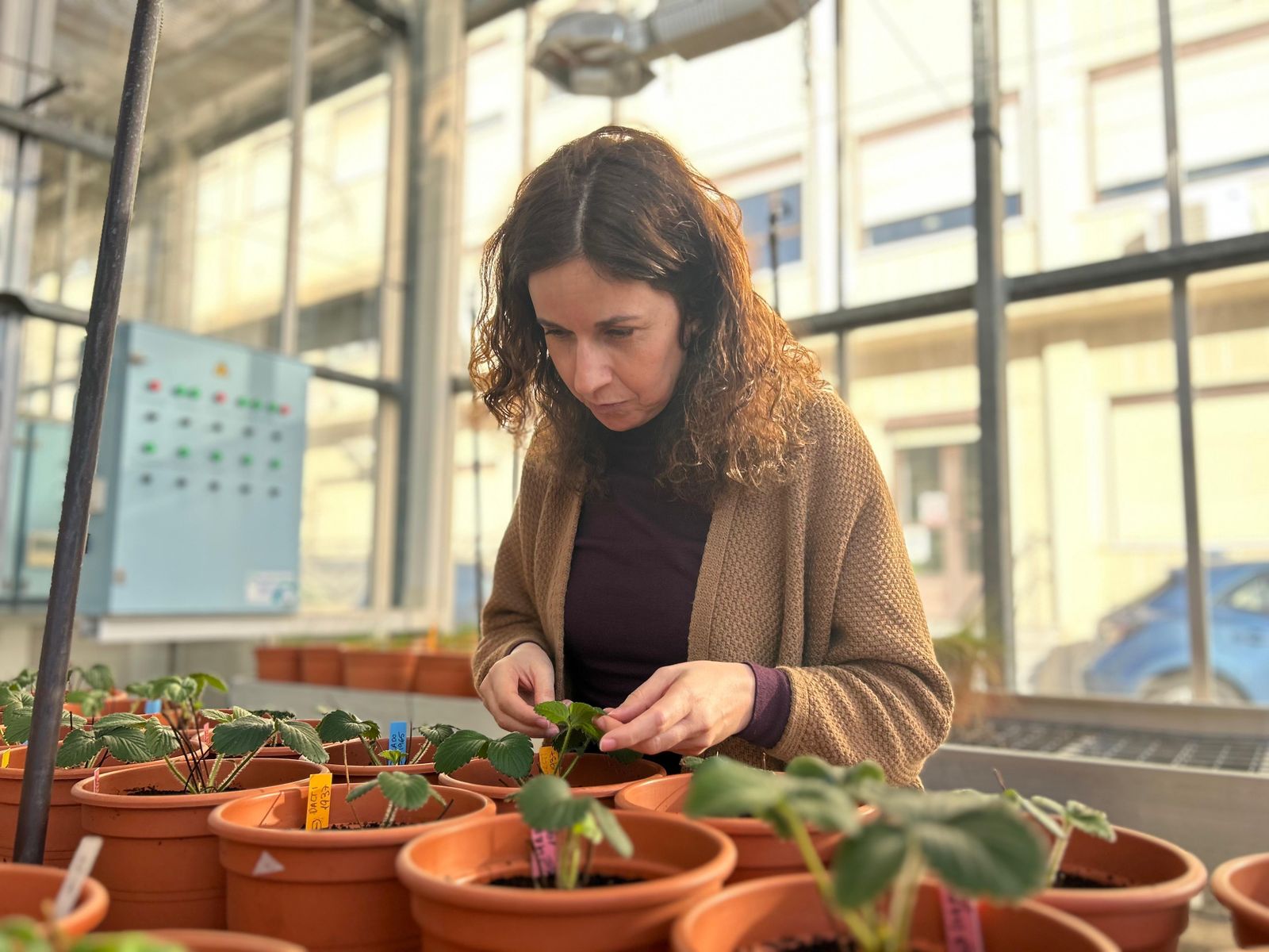 Lucía Santos, investigadora en el IRNASA-CSIC, e impulsora del proyecto ‘Contaminación de microplásticos en suelos agrícolas’ Lucía Santos, investigadora en el IRNASA-CSIC, e impulsora del proyecto ‘Contaminación de microplásticos en suelos agrícolas’