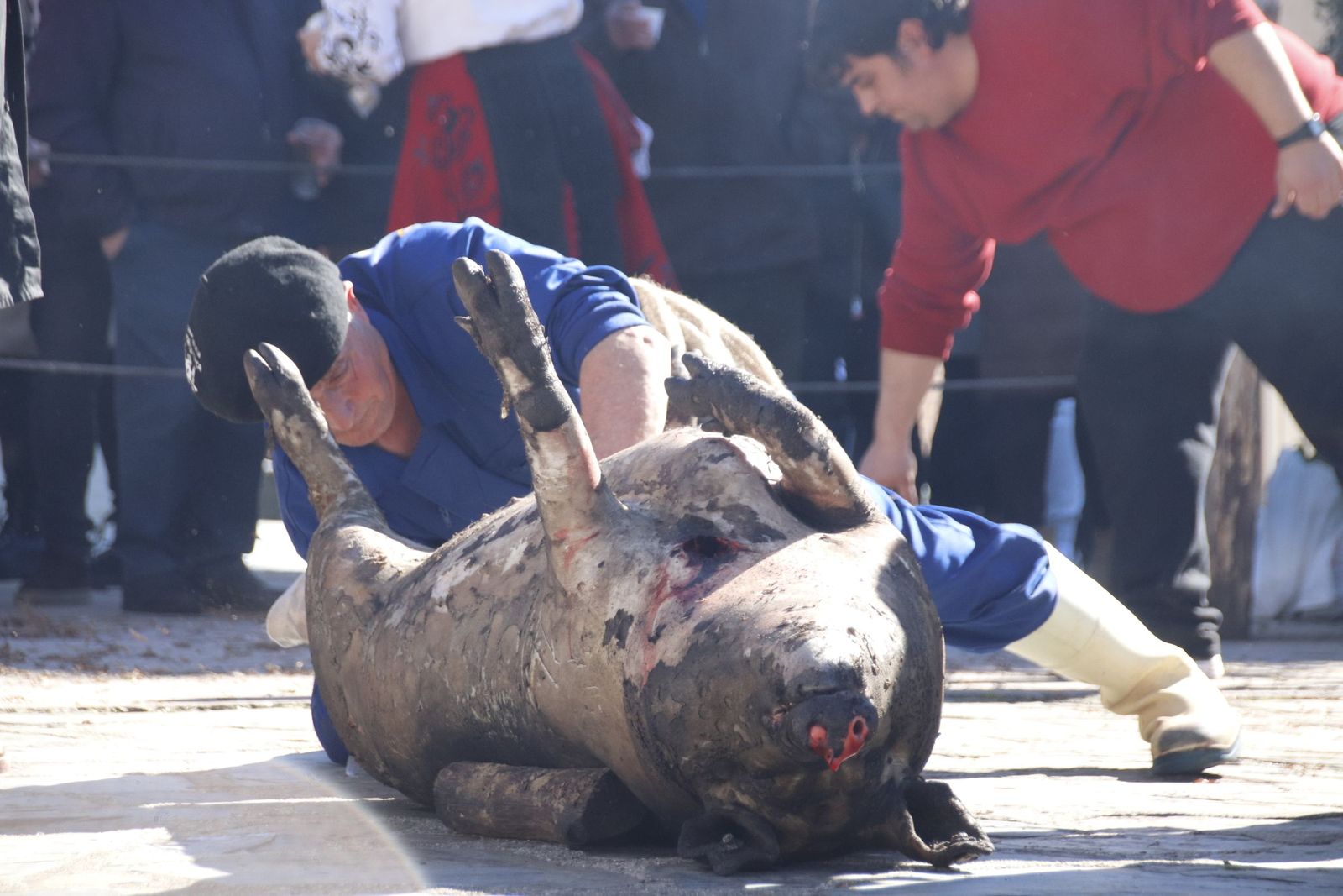 20230204131601-mg-5022