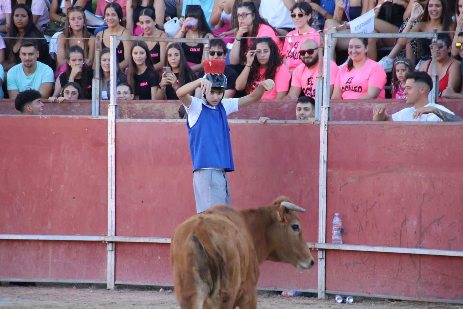 20240816185520-img-3978