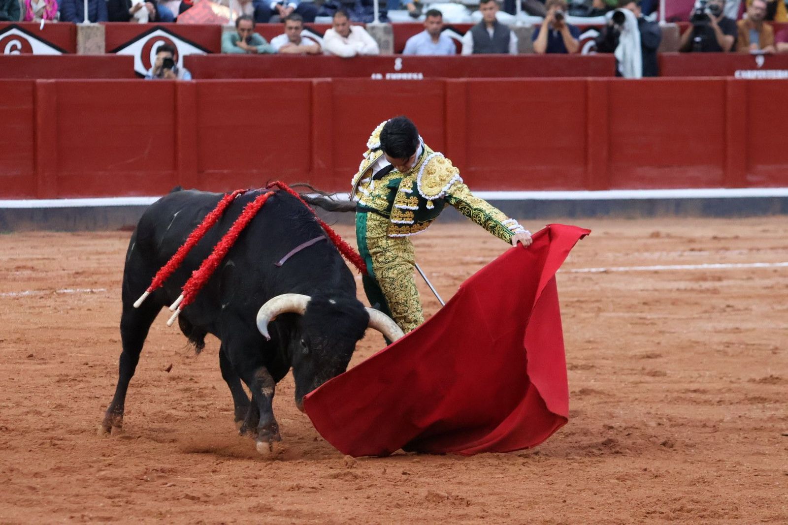 20230915192252-img-4344