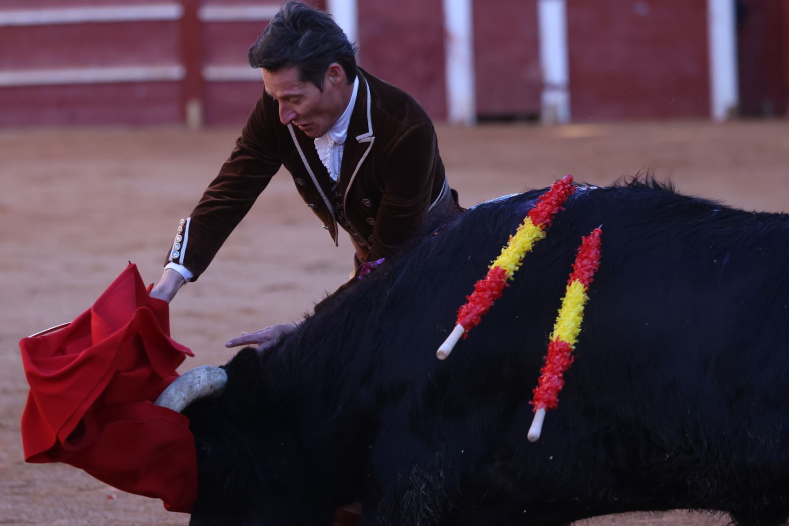 Festival taurino del Sábado en el Carnaval del Toro 2026 de Ciudad Rodrigo