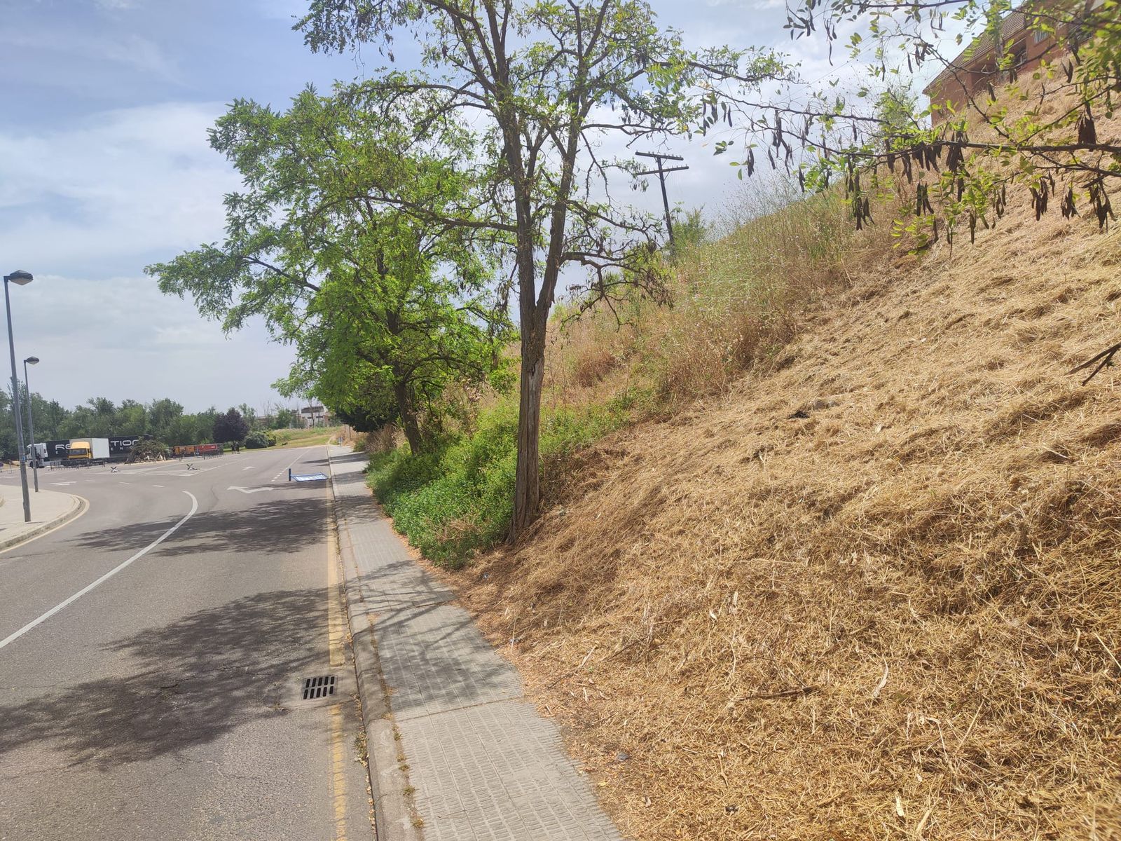 Imagen de la zona este lunes