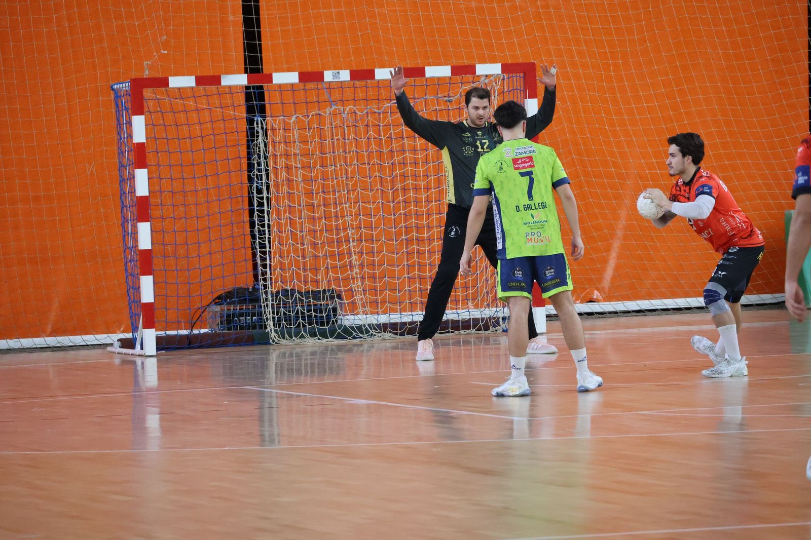 Balonmano Zamora- Ademar León