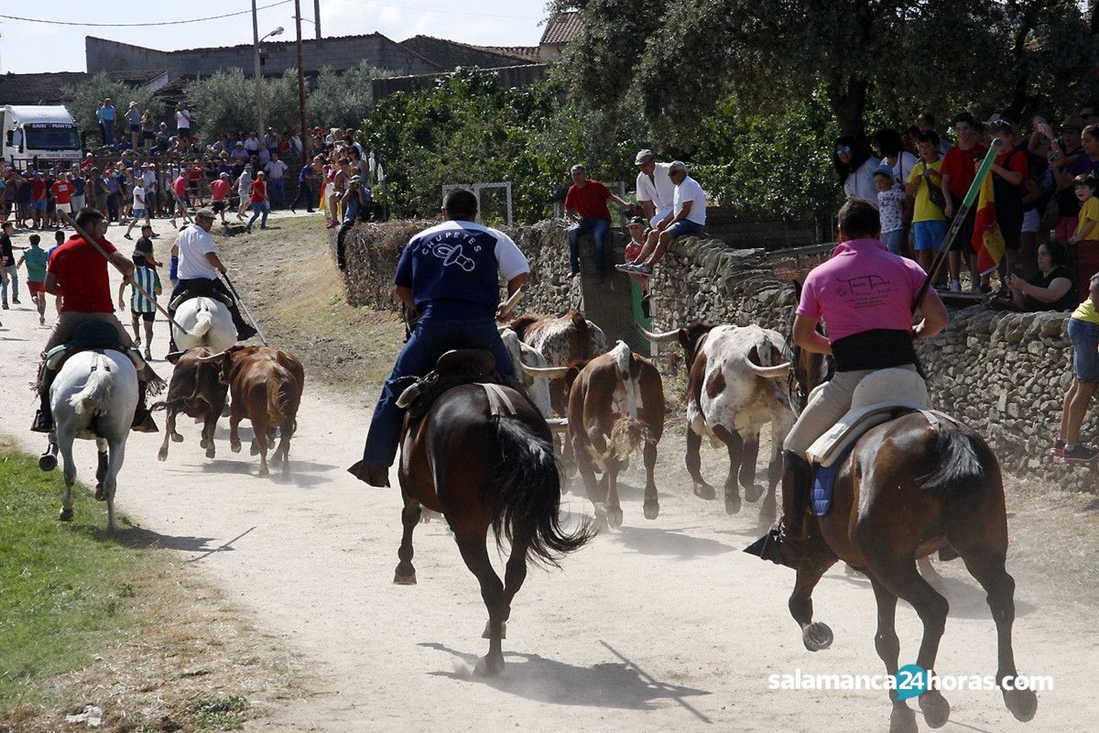 Encierro a caballo en lumbrales (39)
