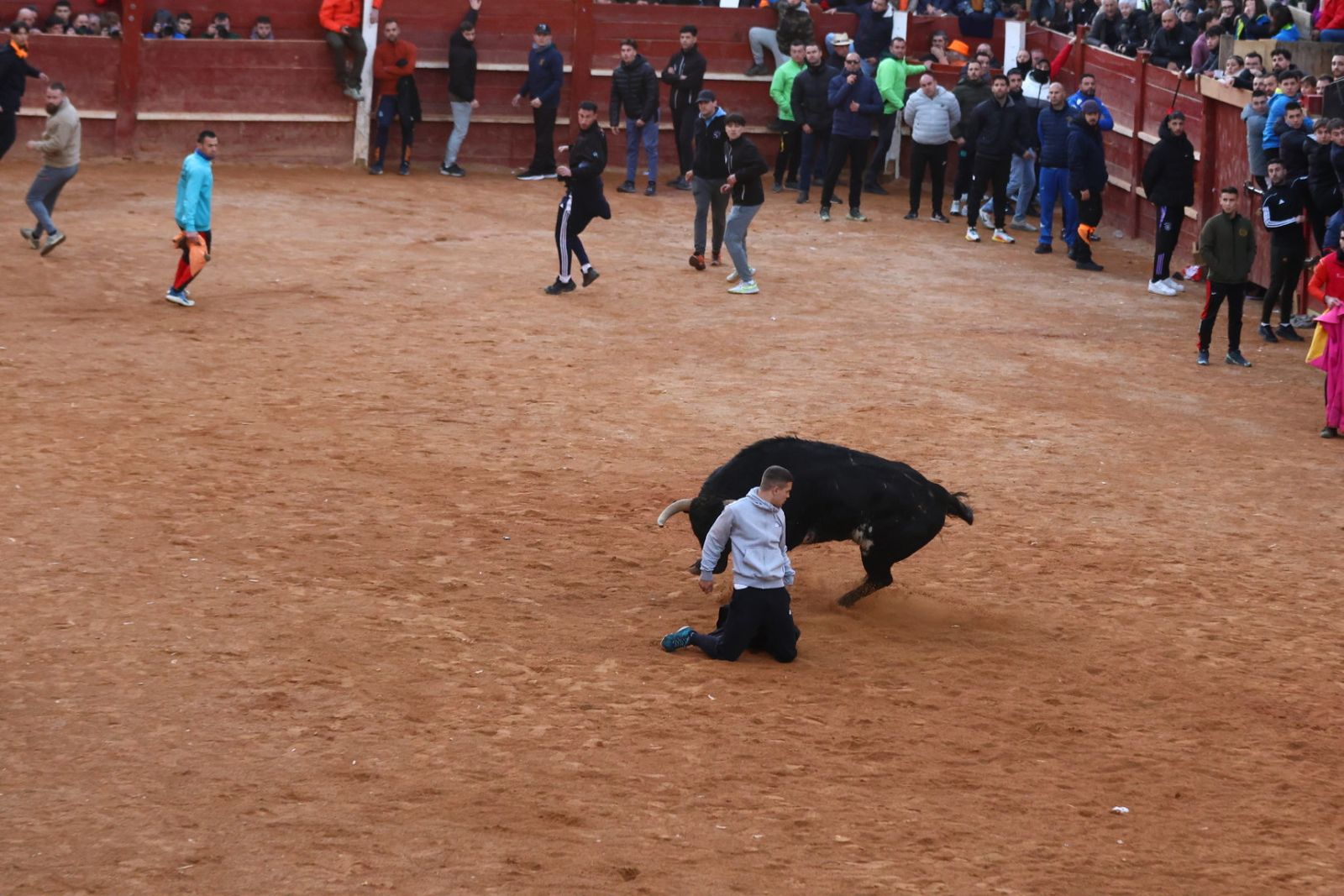 Capea de martes por la tarde en el Carnaval del Toro 2026
