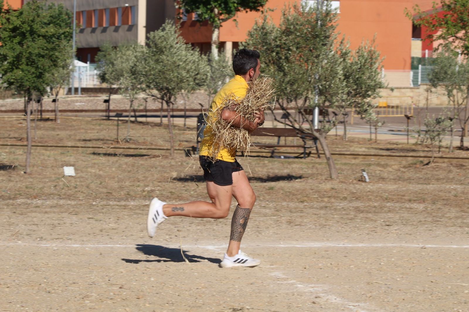 20230806194235-img-4623