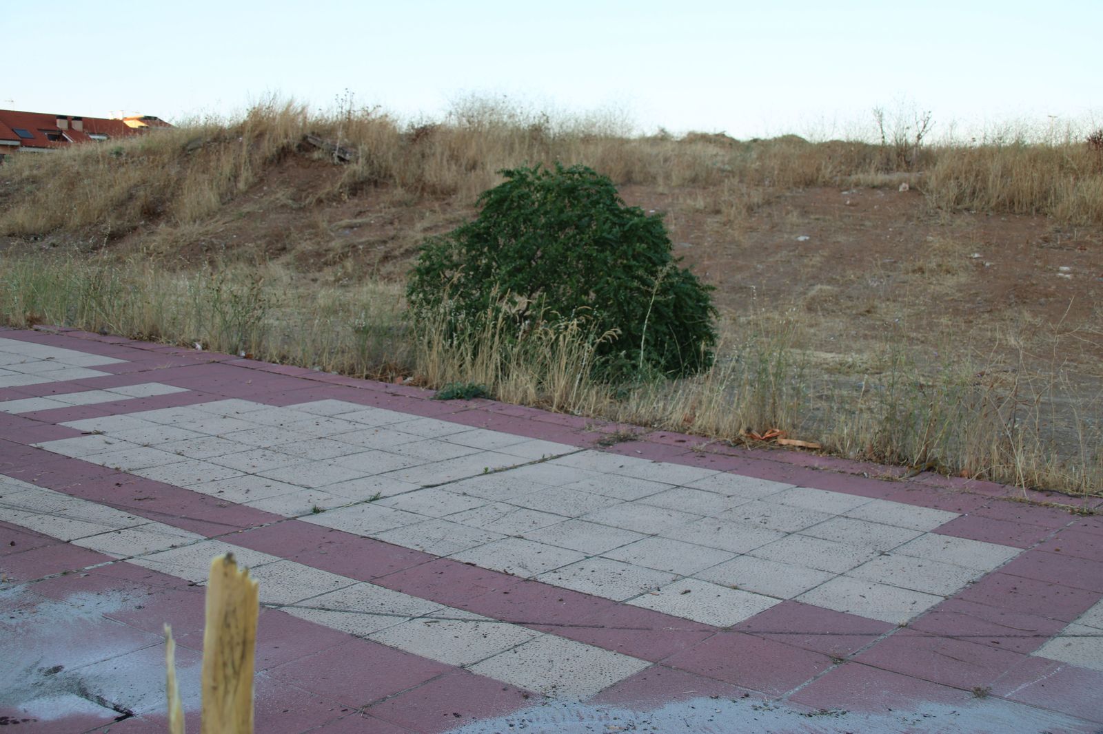 arranca-un-arbol-tras-hacer-un-recto-en-la-calle-victoria-al-circular-a-gran-velocidad-y-abandona-su-vehiculo-en-el-lugar-1