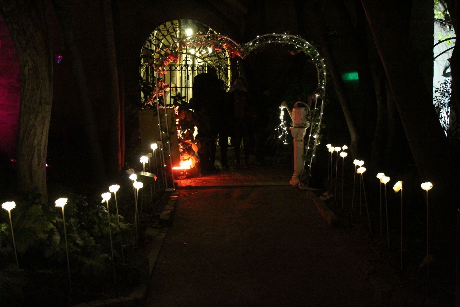 20231204212800-img-6414