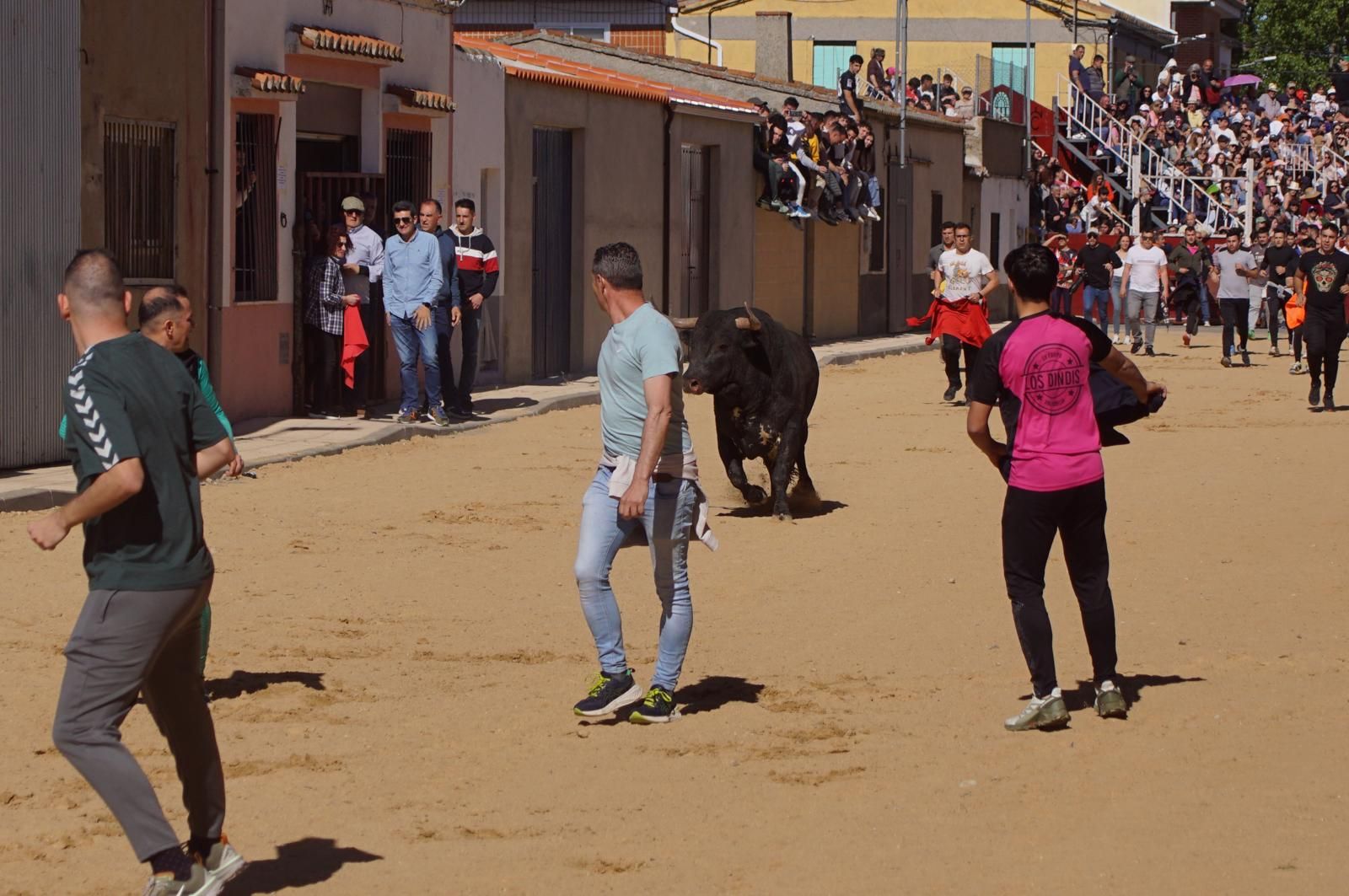 whatsapp-image-2025-04-26-at-19-02-03-1