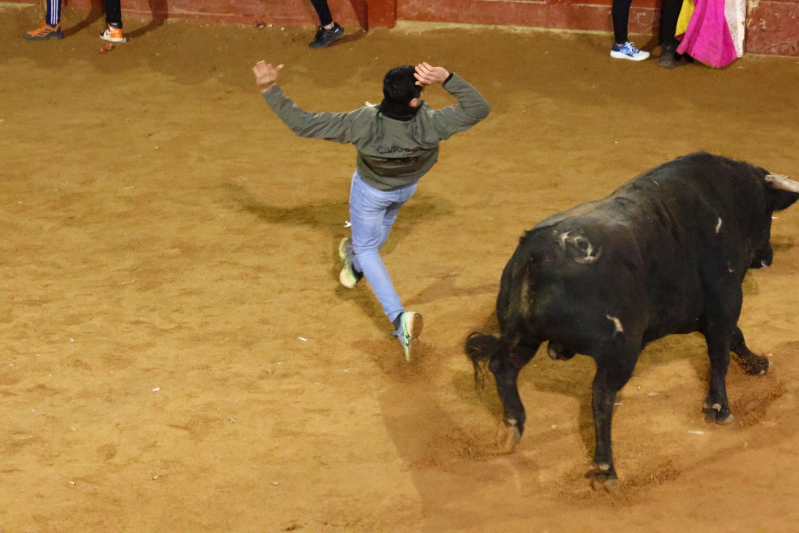 Capea nocturna de lunes en el Carnaval del Toro 2026
