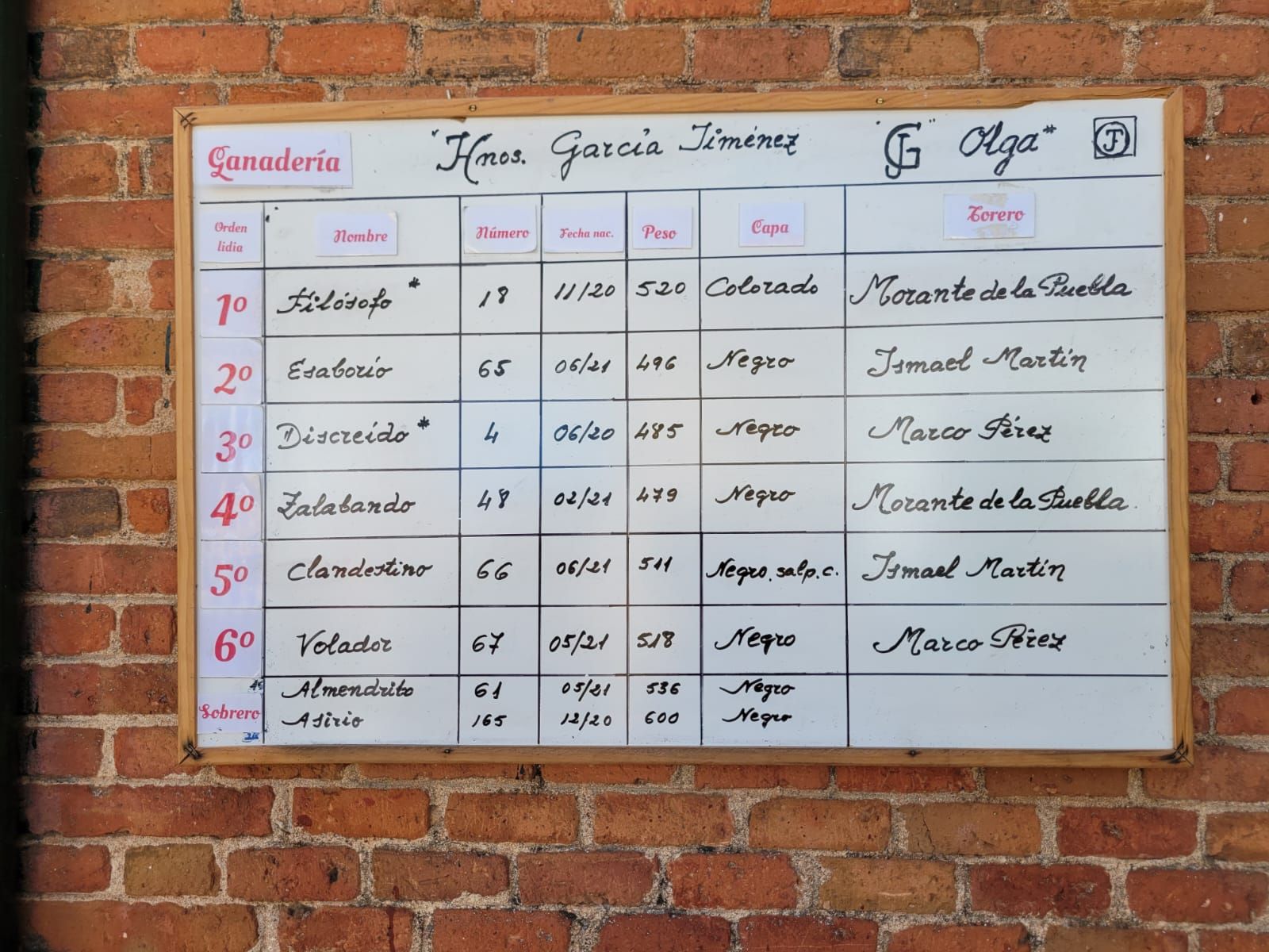 De 'Filósofo' a 'Volador': los toros García y Olga Jiménez para el regreso de Morante a La Glorieta con Ismael Martín y Marco Pérez