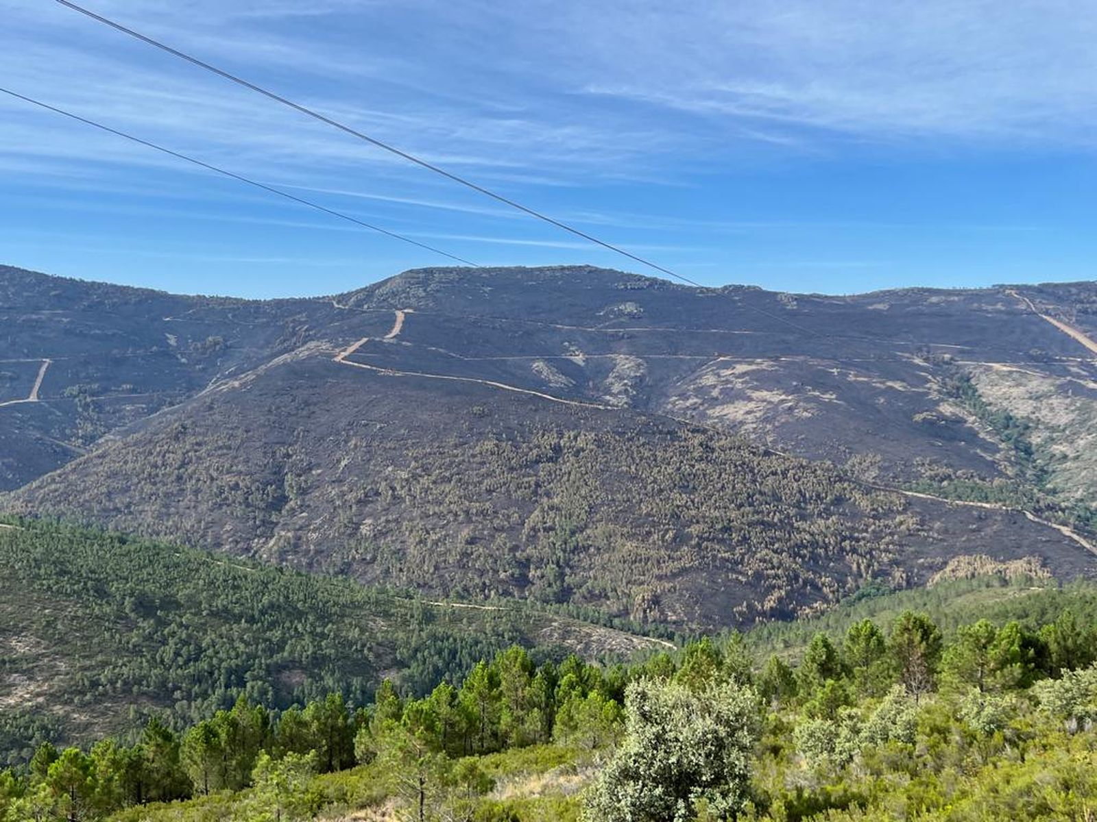 Paso de los lobos hacia Monsagro. Zona afectada por el incendio (5)