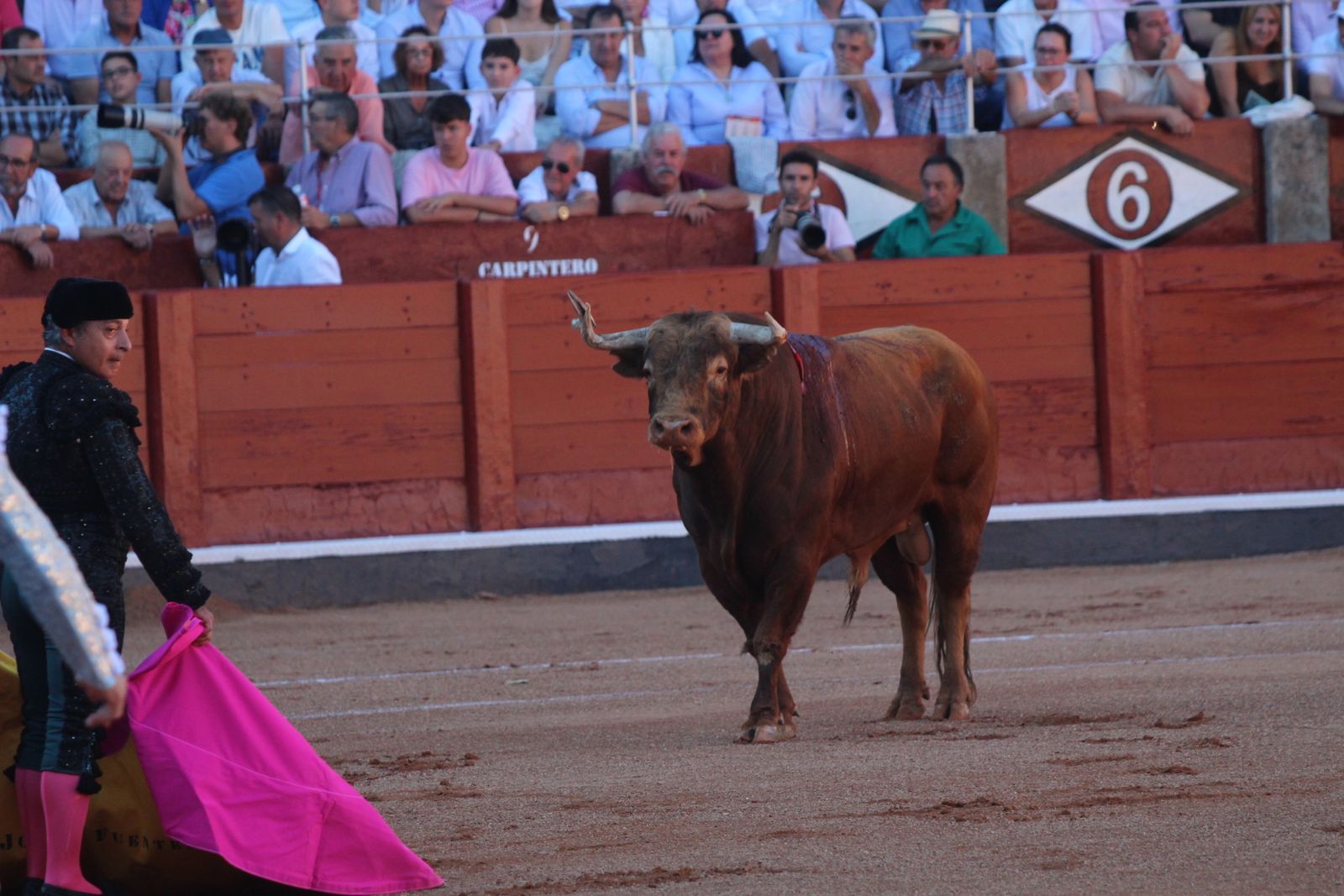 Emilio de Justo, Juan Ortega y Roca Rey inauguran el cartel de figuras en la feria de Salamanca: la corrida de Garcigrande en imágenes