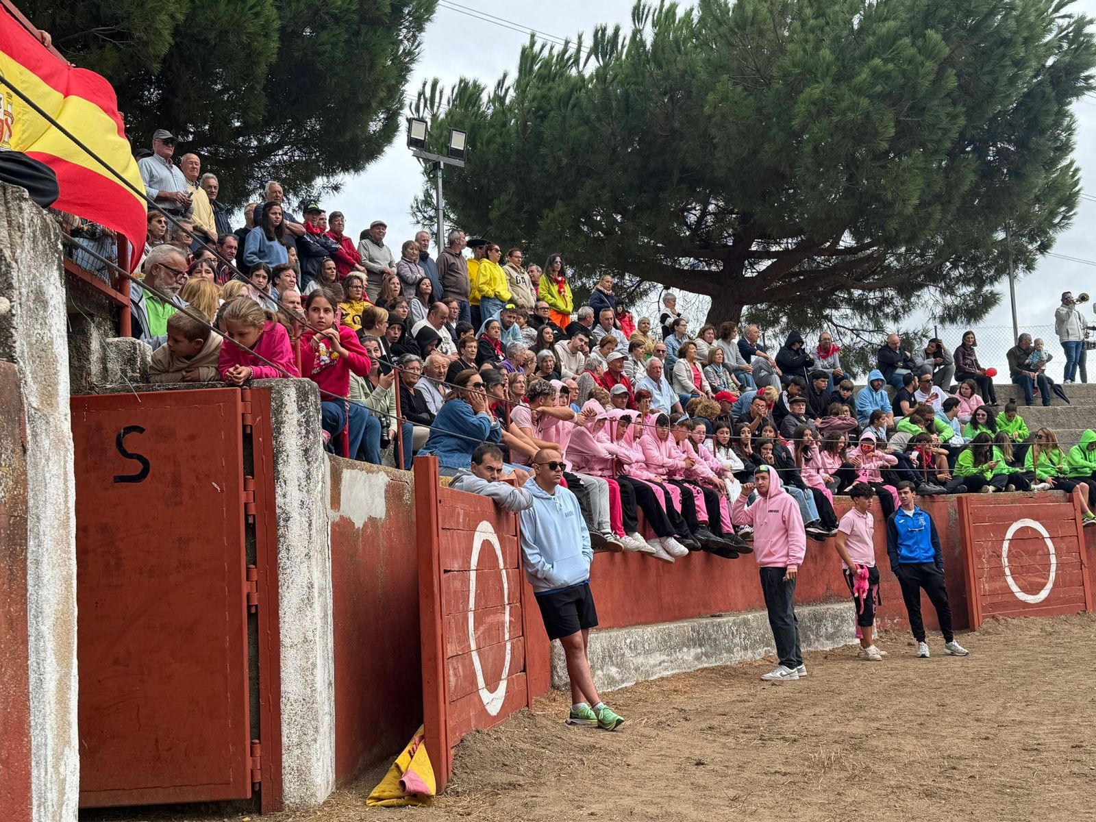 Segundo encierro con novillos de Valdeflores en Pereña de la Ribera