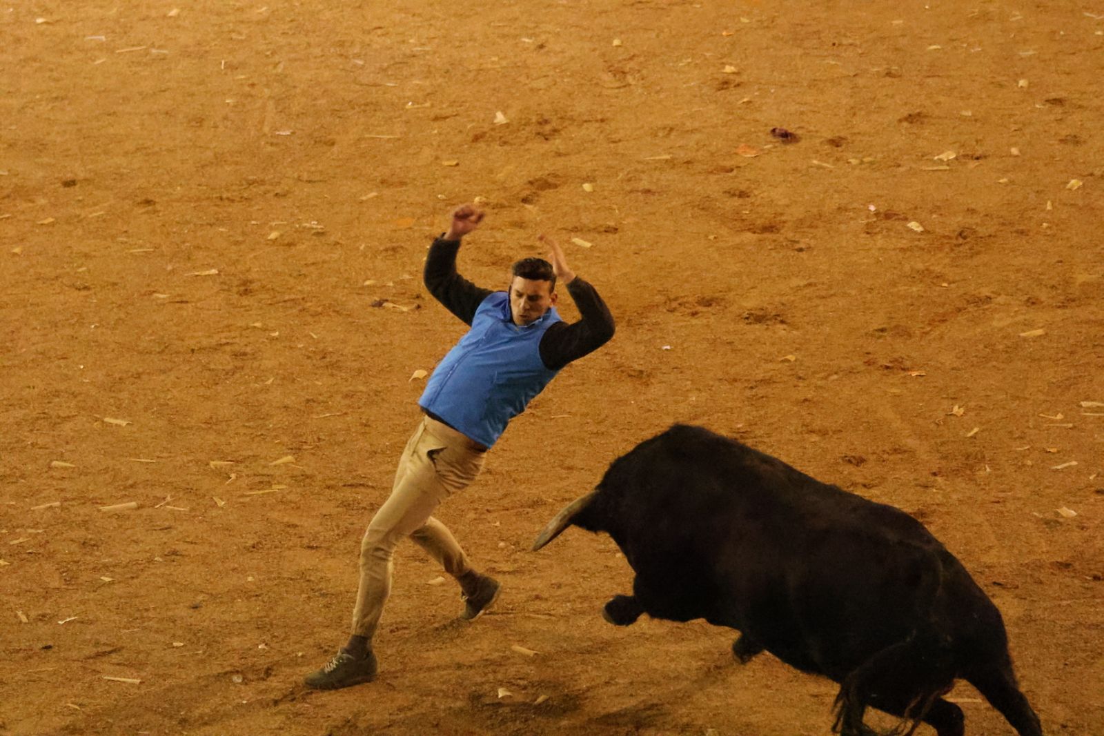 Capea Nocturna del Viernes en Ciudad Rodrigo