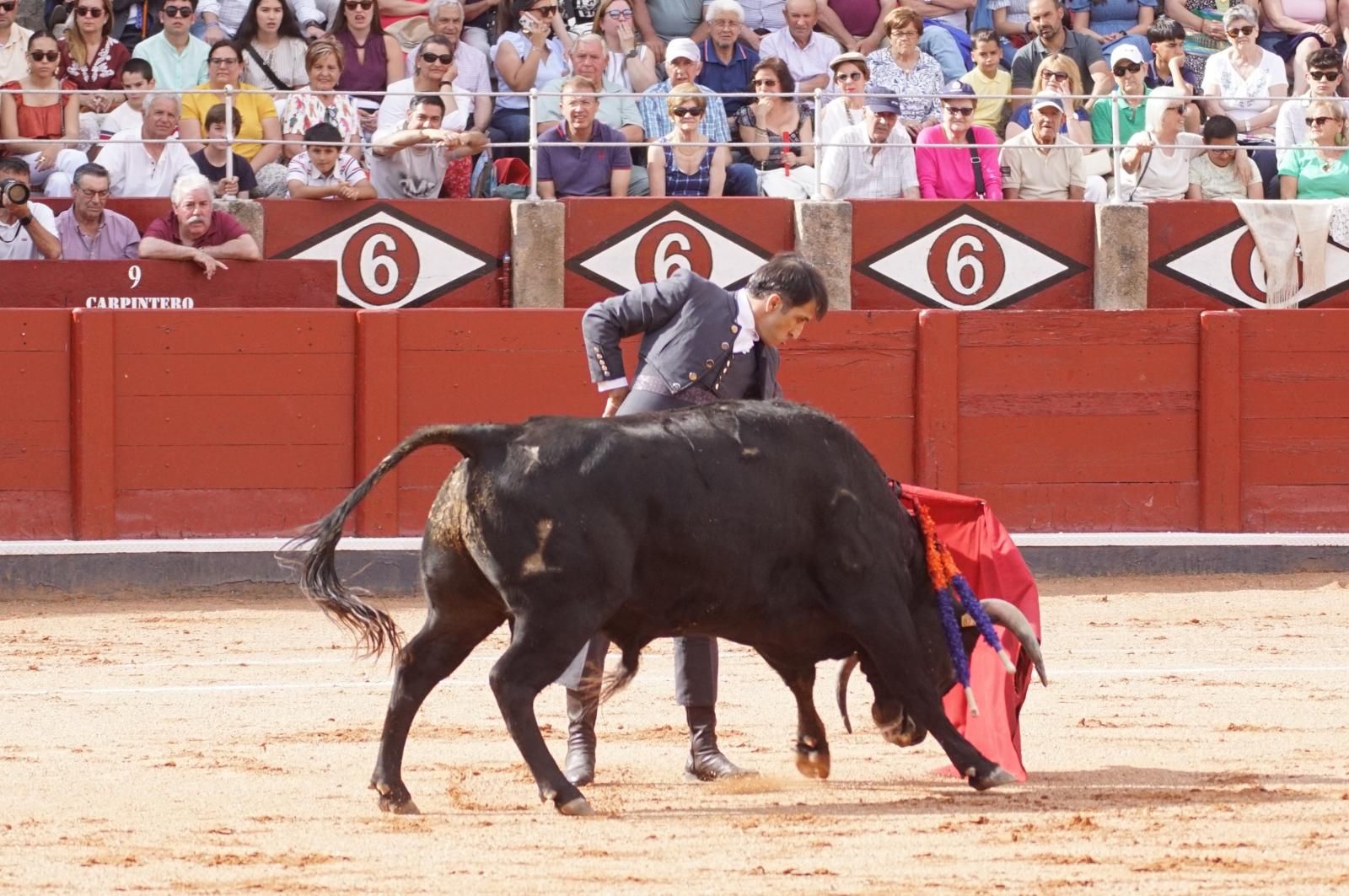 whatsapp-image-2025-06-12-at-21-26-00-1