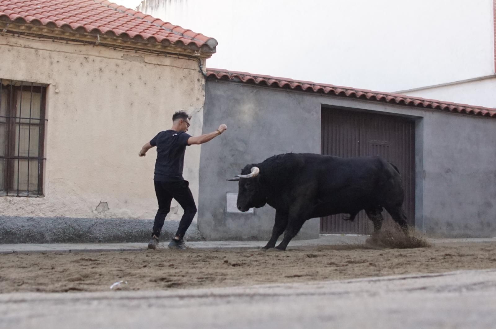 Toro del cajón y capea en Alba de Tormes