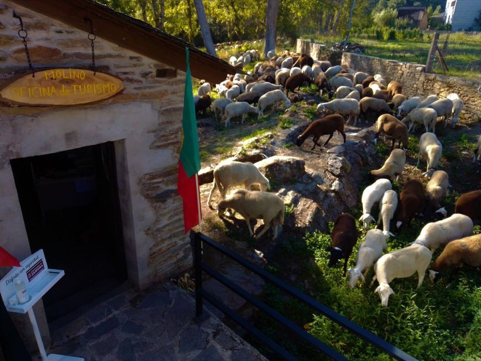 118794871 132840751858216 6232610688745901950 o