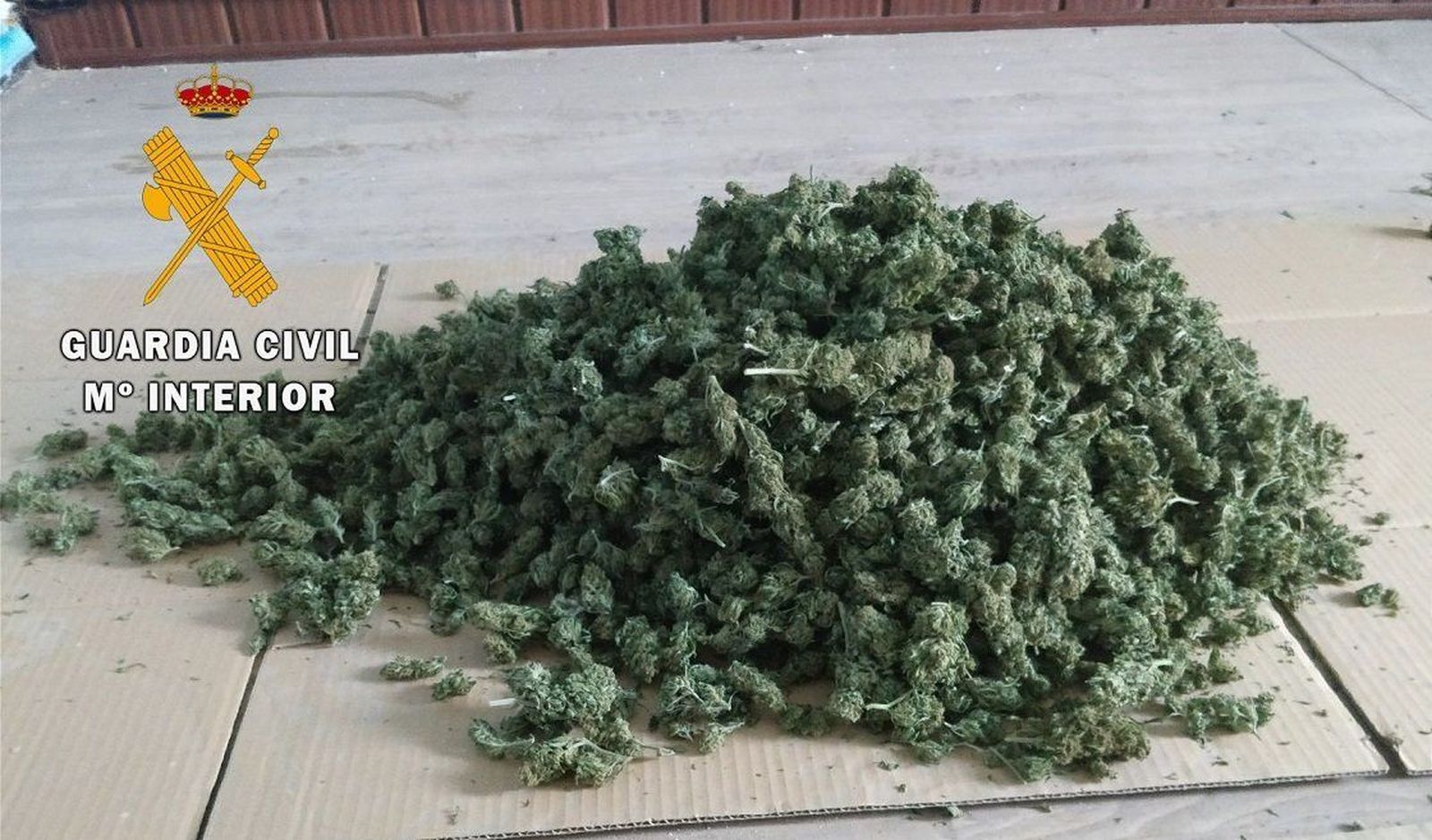 ¿Qué efectos provoca el consumo de marihuana?