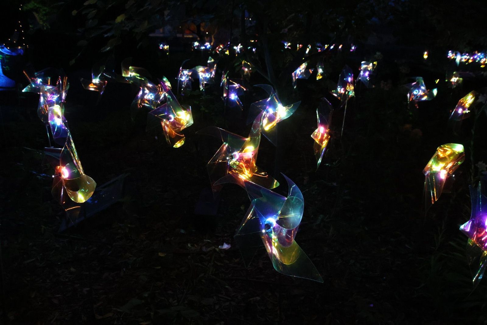 El Huerto de las maravillas