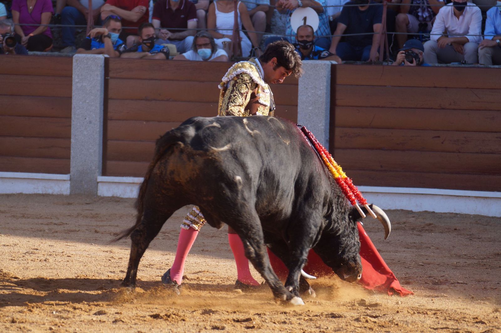 toros-en-guijuelo-15-de-agosto-32