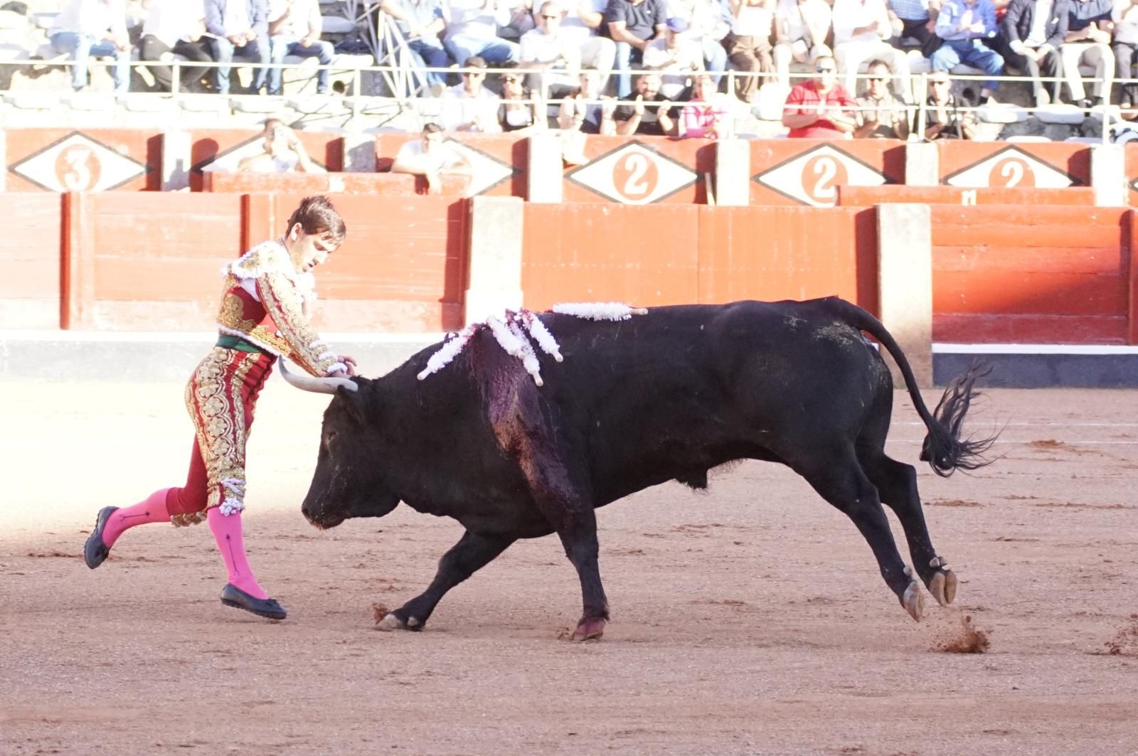 Presencia salmantina por partida doble en la primera corrida de la feria: Damián Castaño e Ismael Martín junto al mexicano Diego San Román