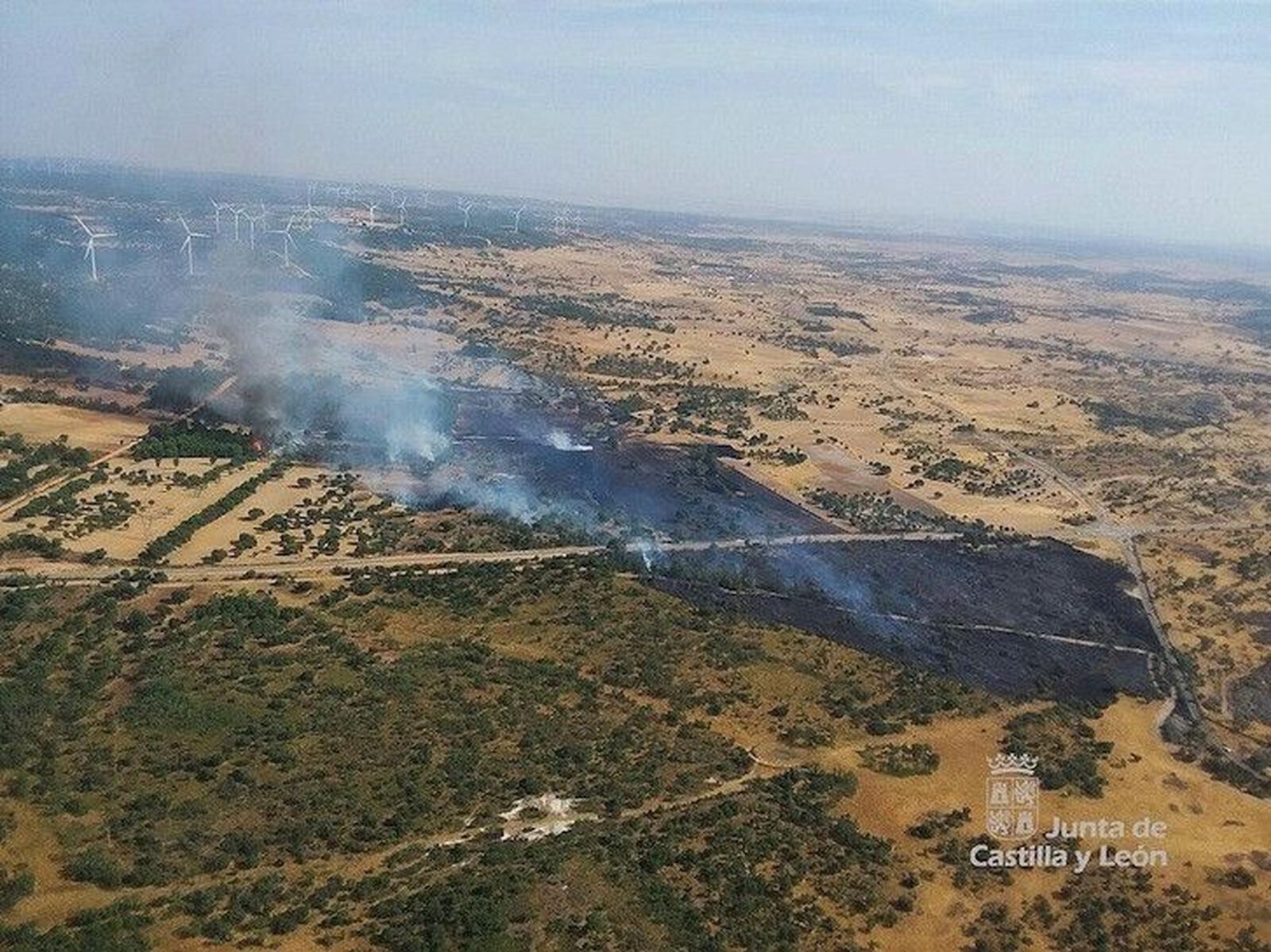 La Junta baja a nivel 0 en el incendio forestal de Alfaraz de Sayago