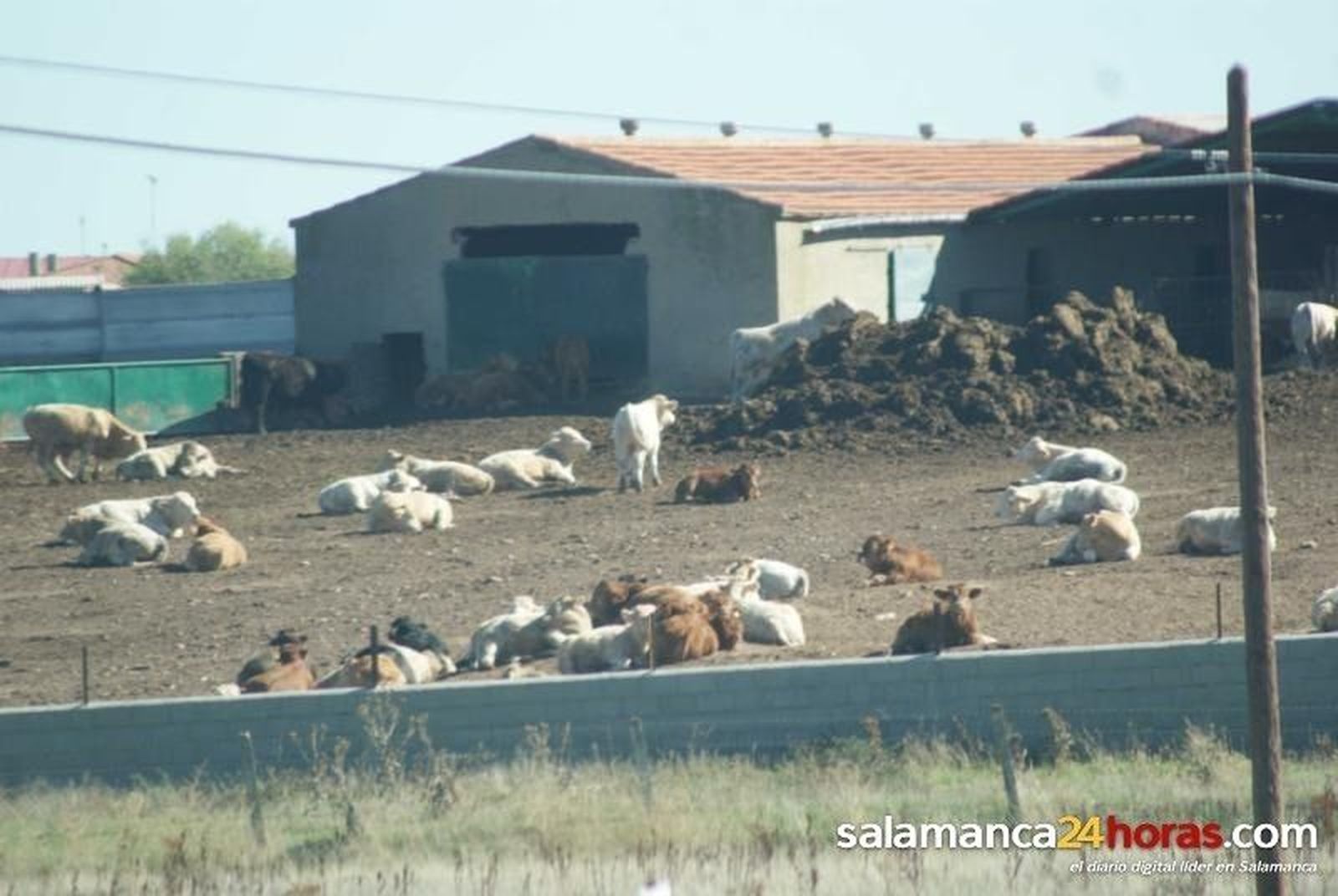 Asaja pide a la Consejería que se vuelque con la línea de incorporación y mejora de explotaciones