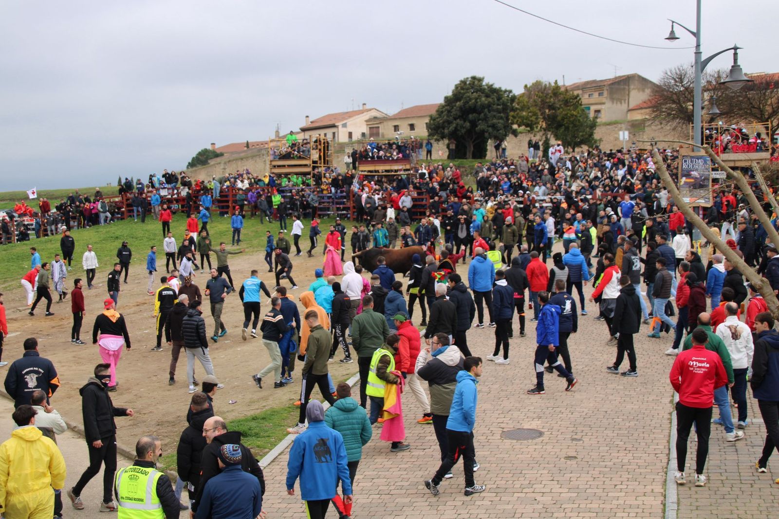 whatsapp-image-2025-03-01-at-11-56-34