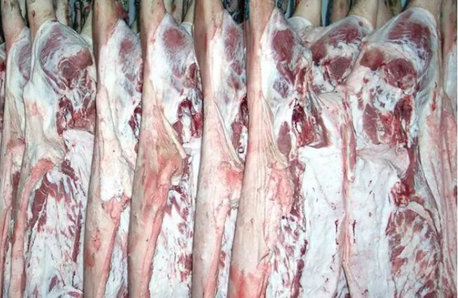 El sector agroalimentario se salva del desplome de las exportaciones de Castilla y León en los primeros meses del año