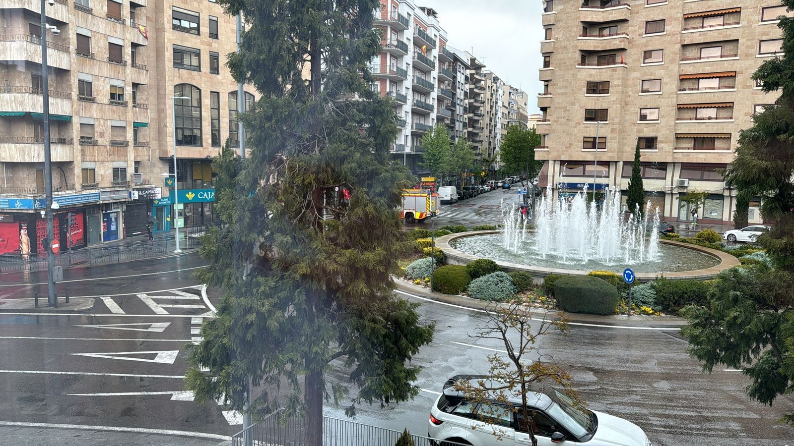 whatsapp-image-2024-05-01-at-16-49-36