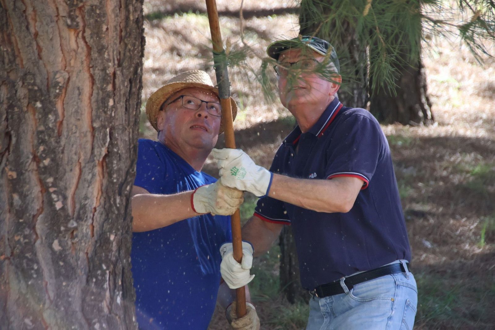 jornada de voluntariado medioambiental
