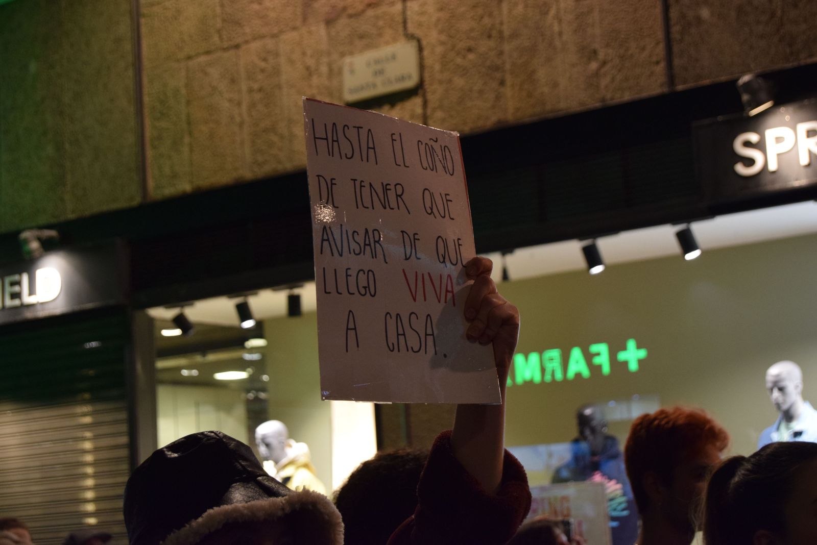 manifestacion-por-el-8m-en-zamora-4