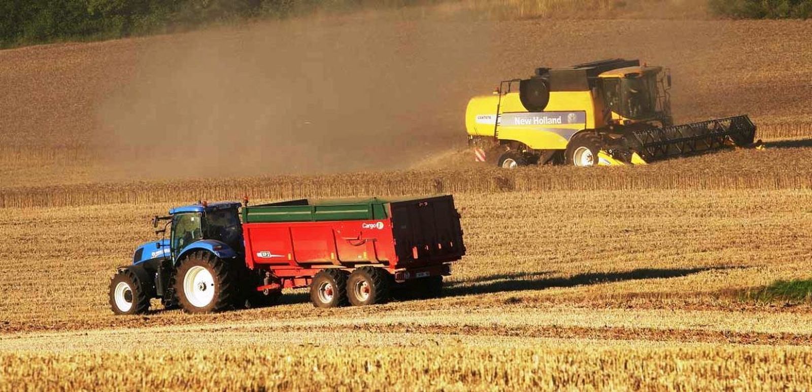 Explotación agraria