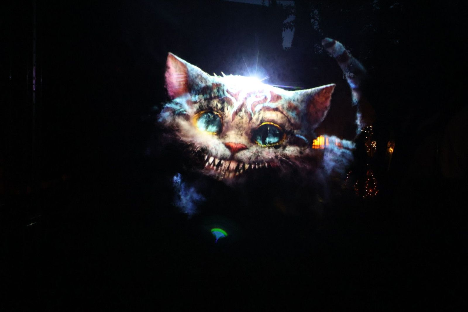 20240613213726-img-7545