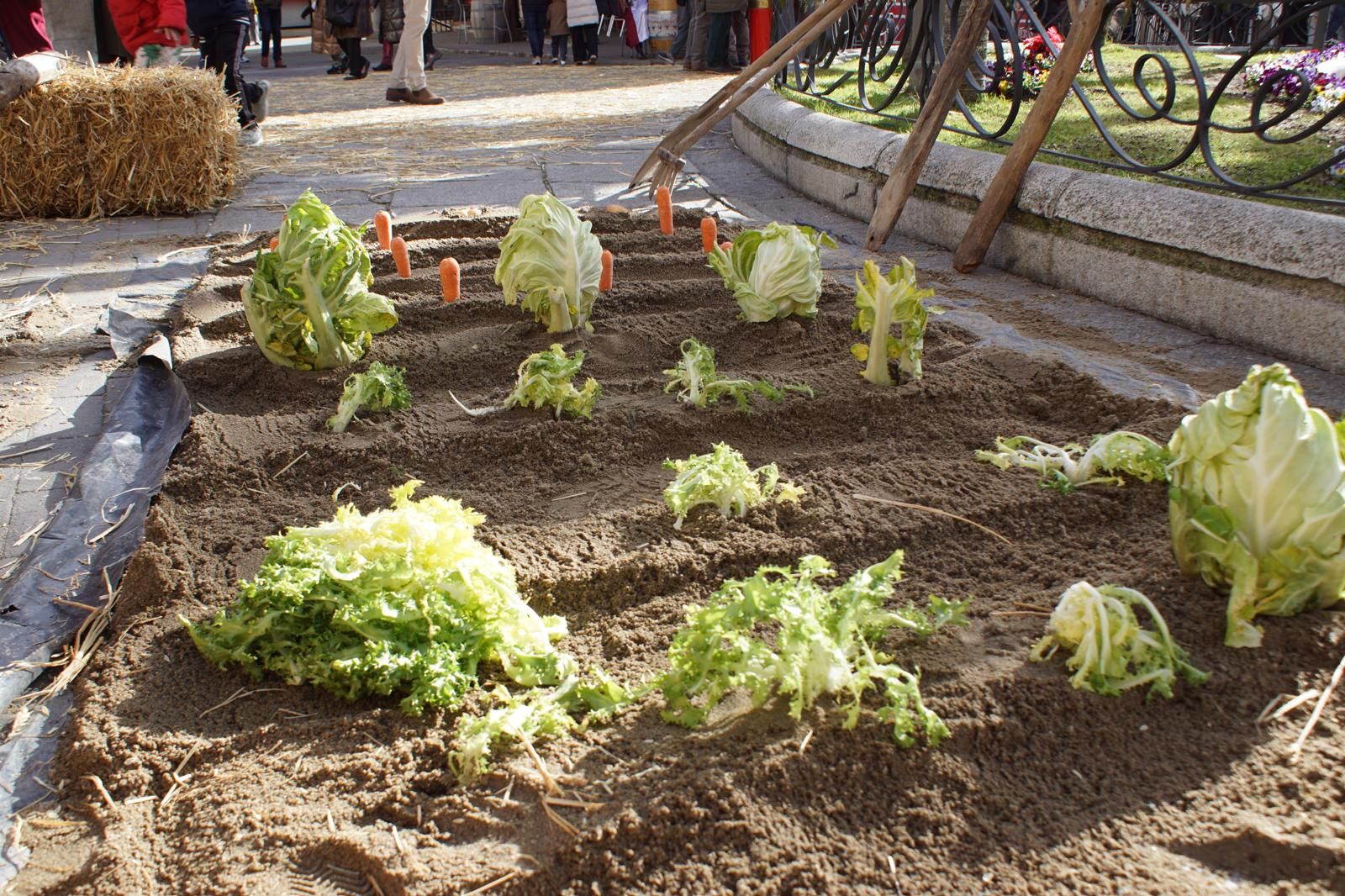 Belén Vivente en Alba de Tormes