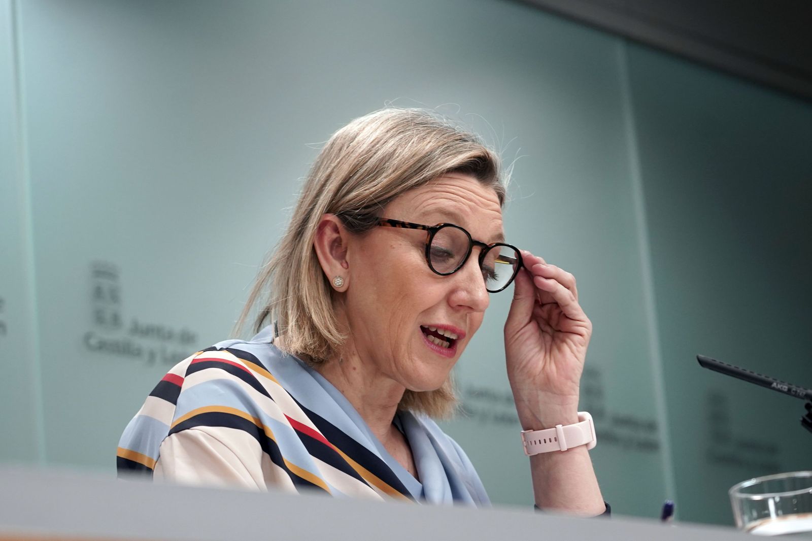 Rubén Cacho  ICAL . La vicepresidenta de la Junta de Castilla y León y consejera de Familia e Igualdad de Oportunidades, Isabel Blanco.