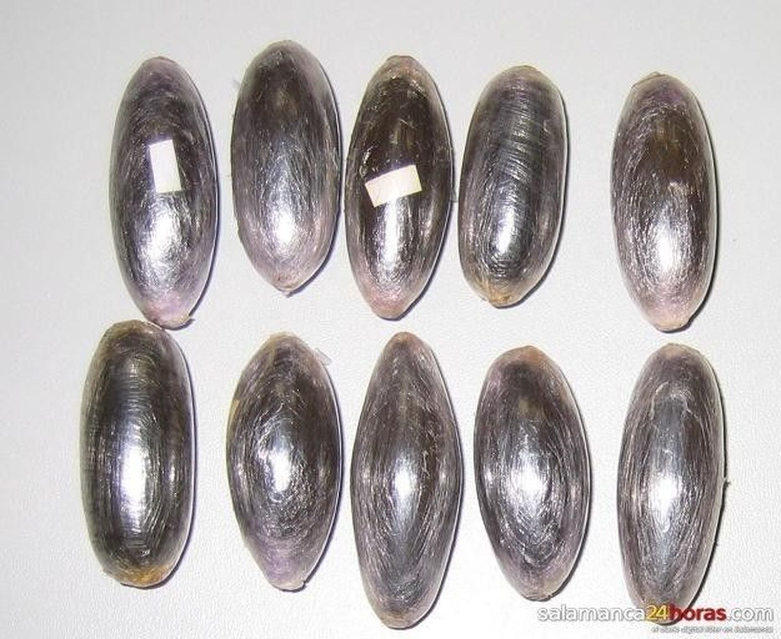 La Guardia Civil detiene a un hombre con 80 gramos de hachís en Fuenteguinaldo