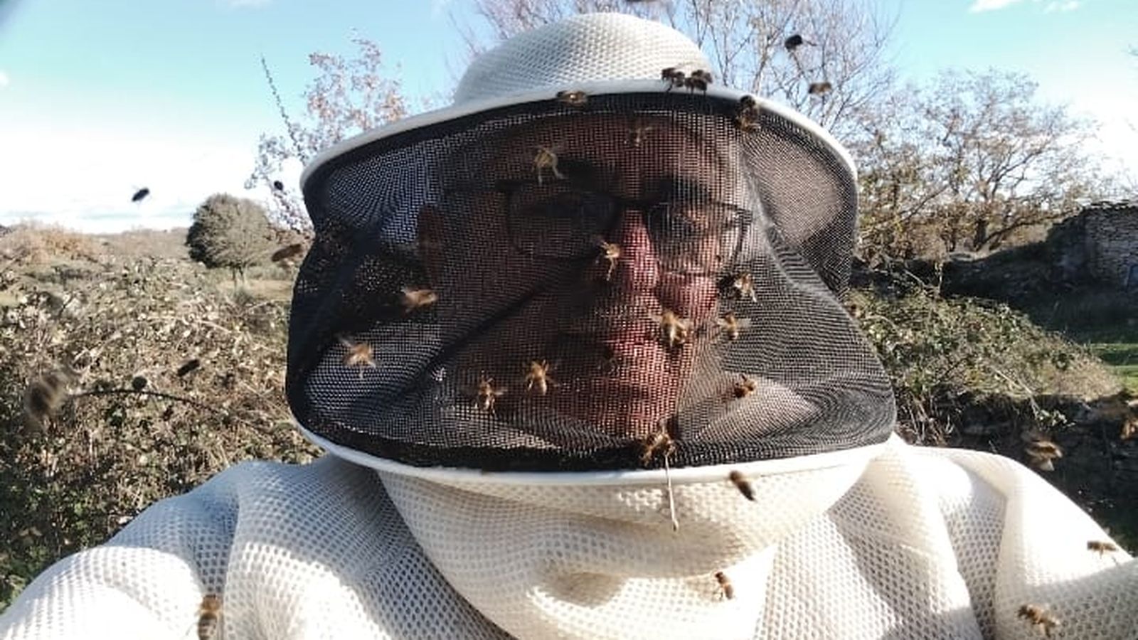 Isaac de Arriba, apicultor con colmenas en la zona de Las Arribes