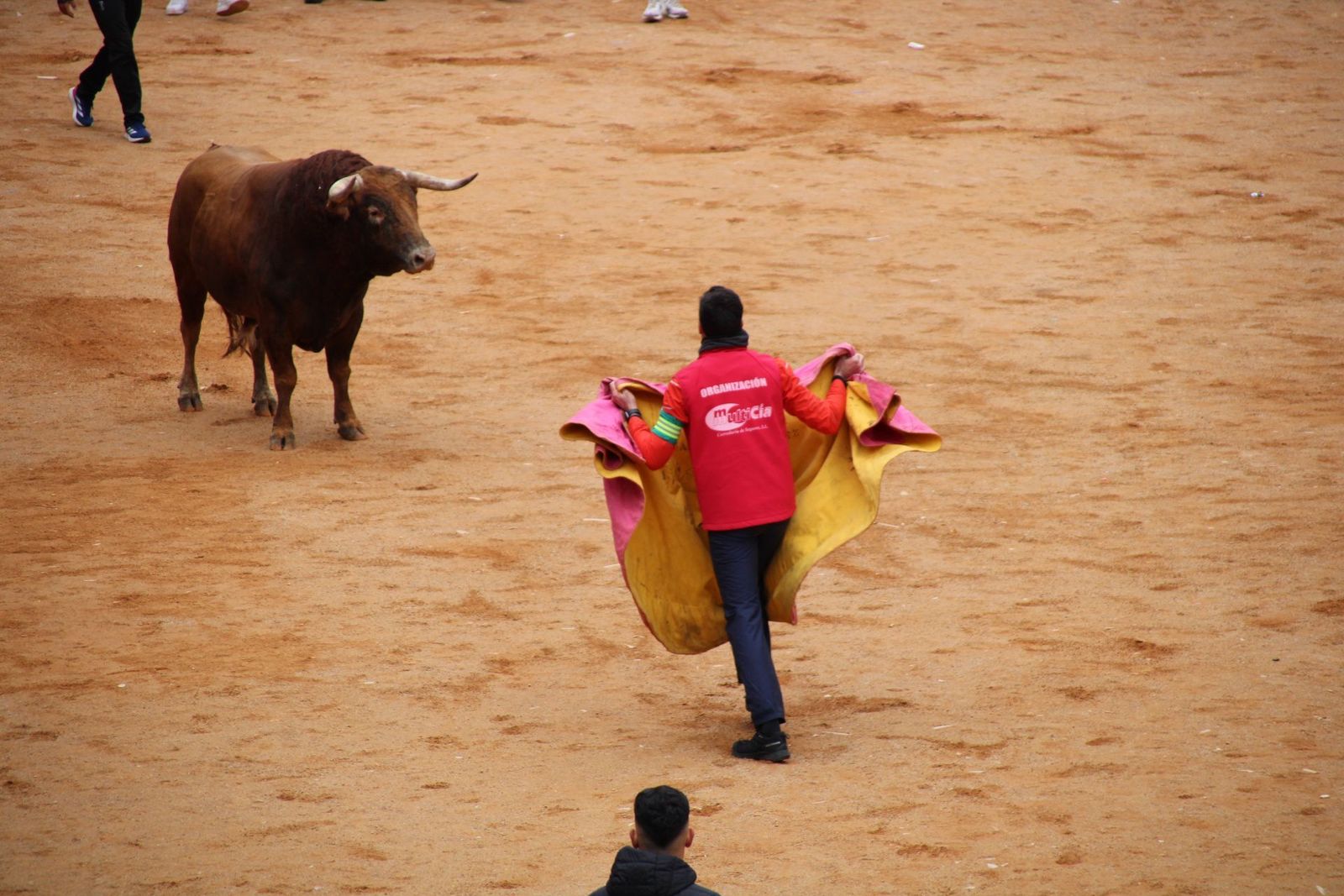 whatsapp-image-2025-03-01-at-13-18-35-1