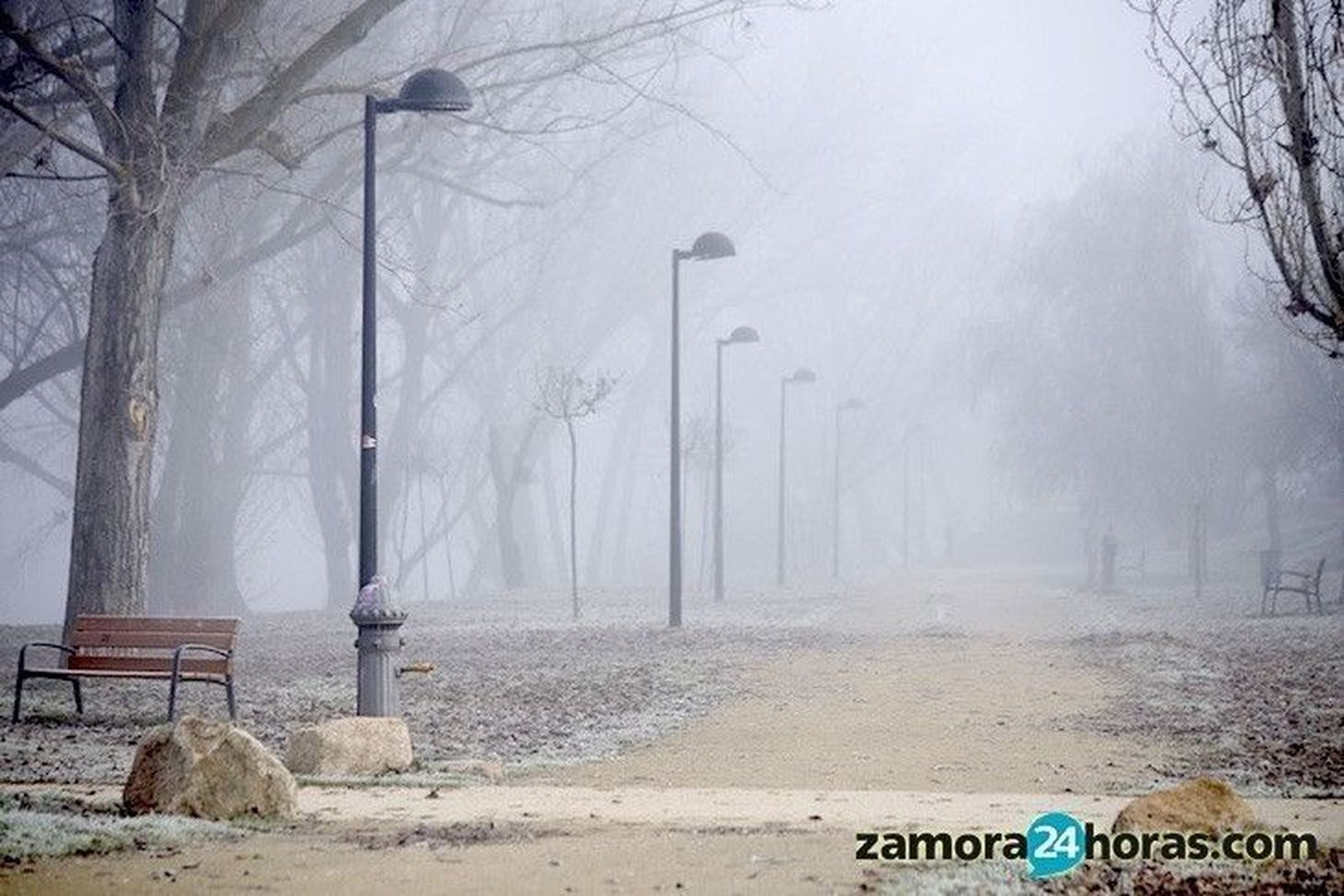 Heladas en Zamora. Archivo