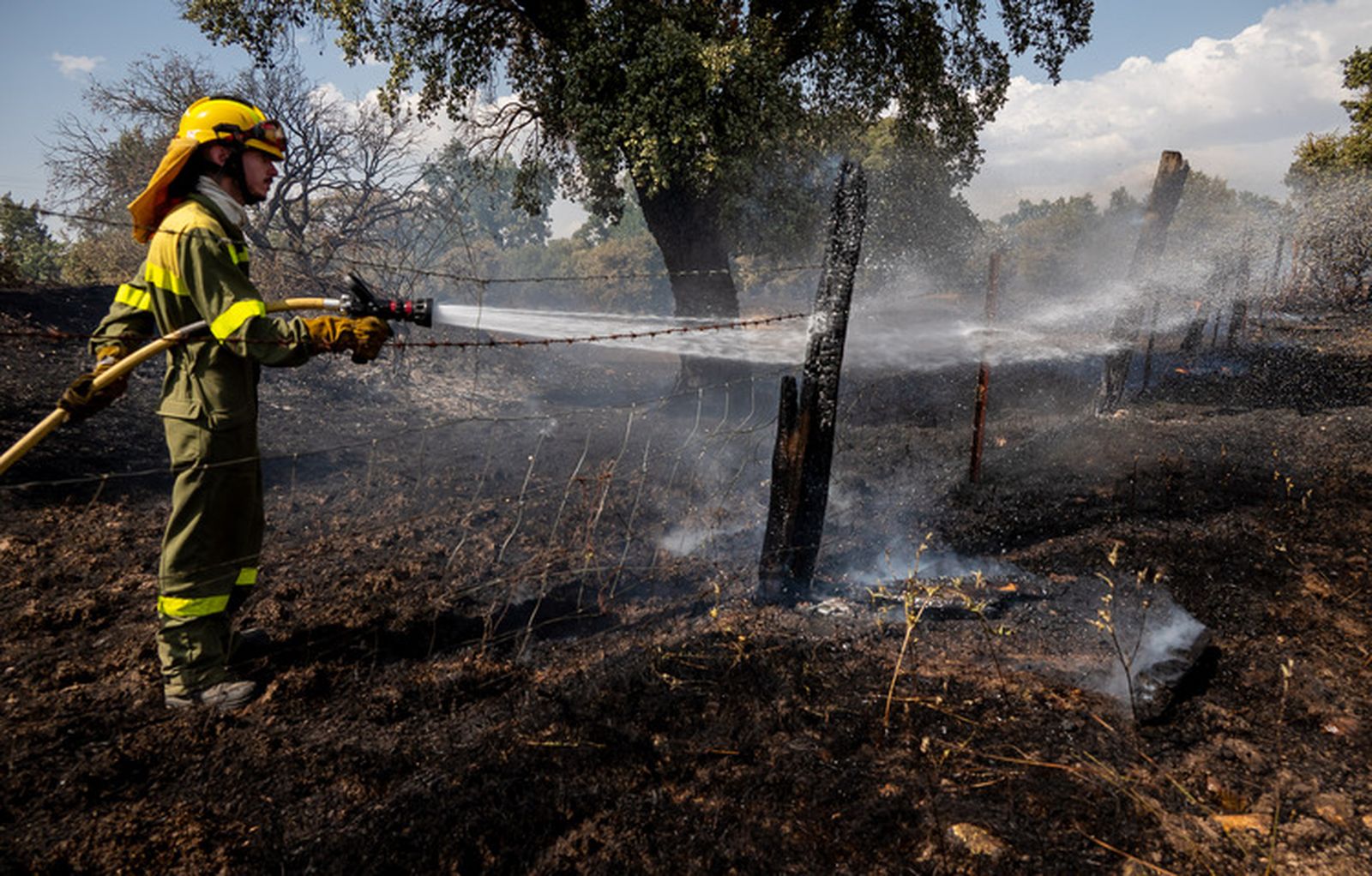 El fuego quema una zona de pasto en los entornos de la N-620 y la A-62 en Valdecarpinteros