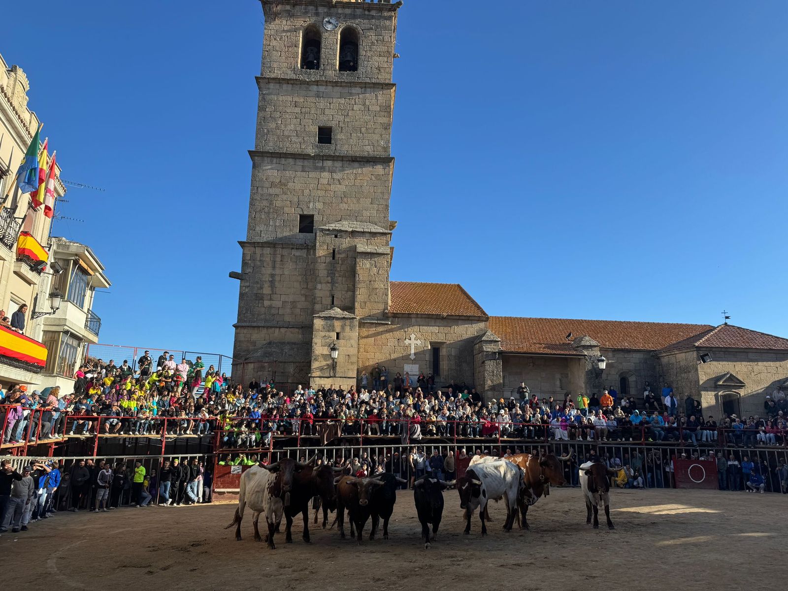 Último encierro a caballo en Aldeadávila de la Ribera con reses de Valrubio