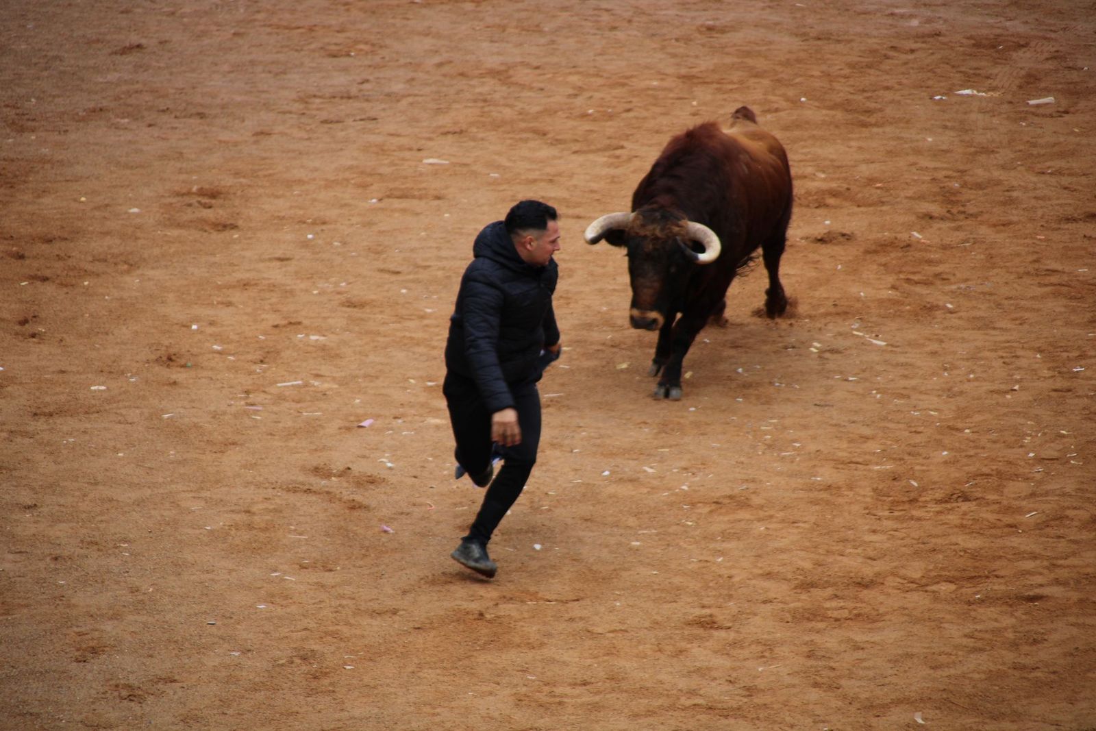 encierro-urbano-martes-de-carnaval-ciudad-rodrigo-2025-15