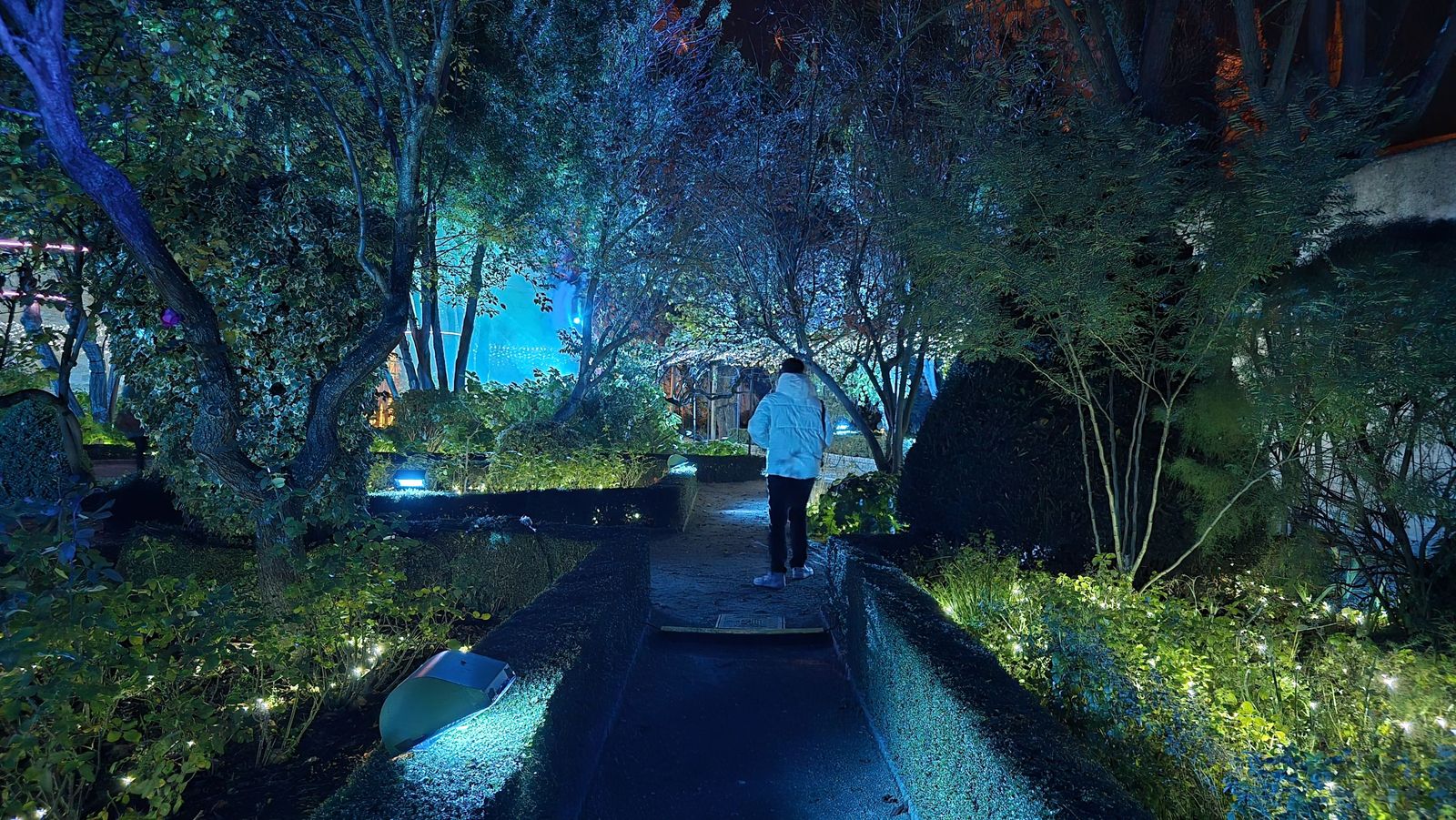 Pase para gráficos del ‘Jardín mágico del Huerto de Calixto y Melibea’